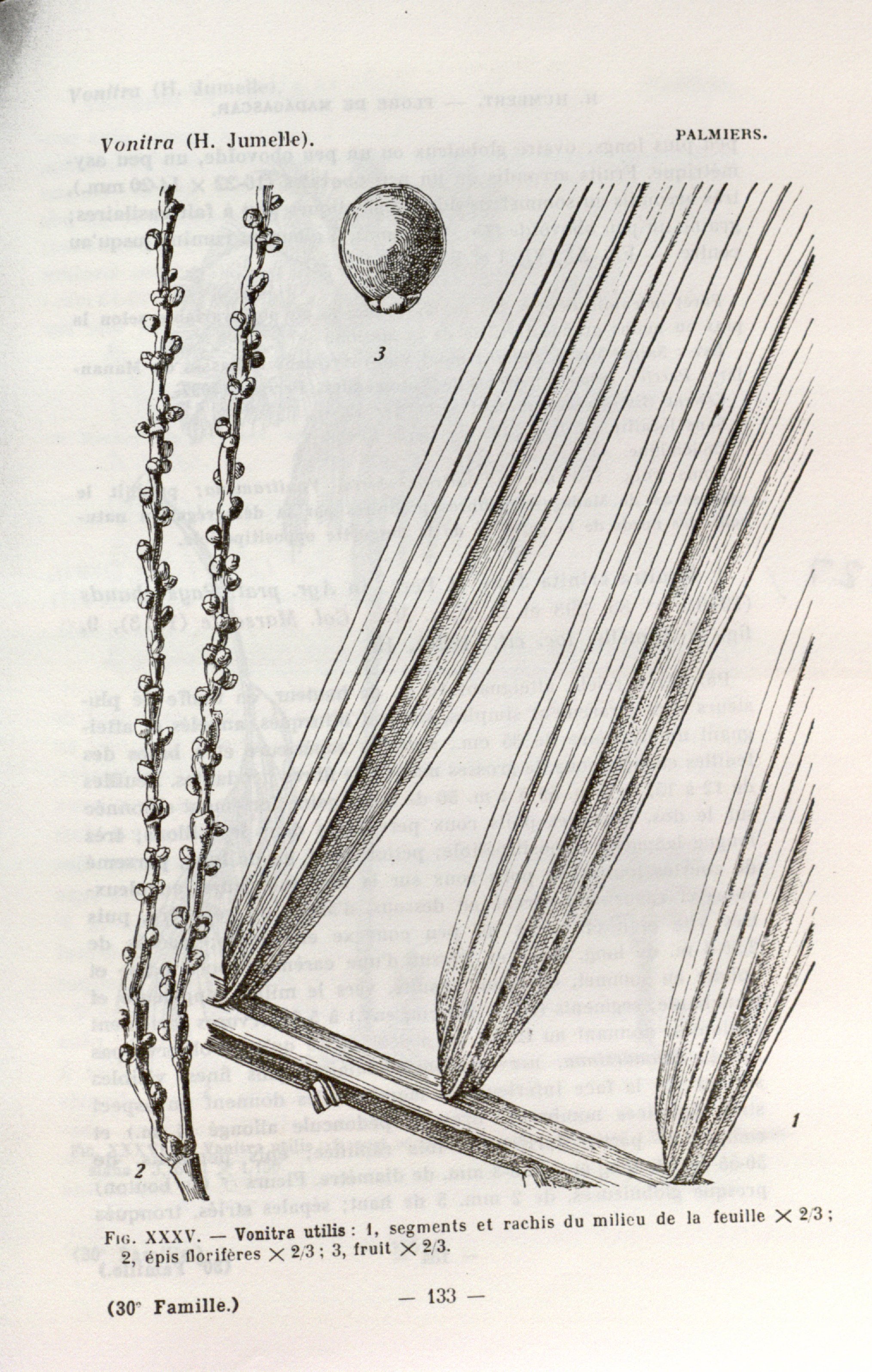 no full size  illustration available (3a)