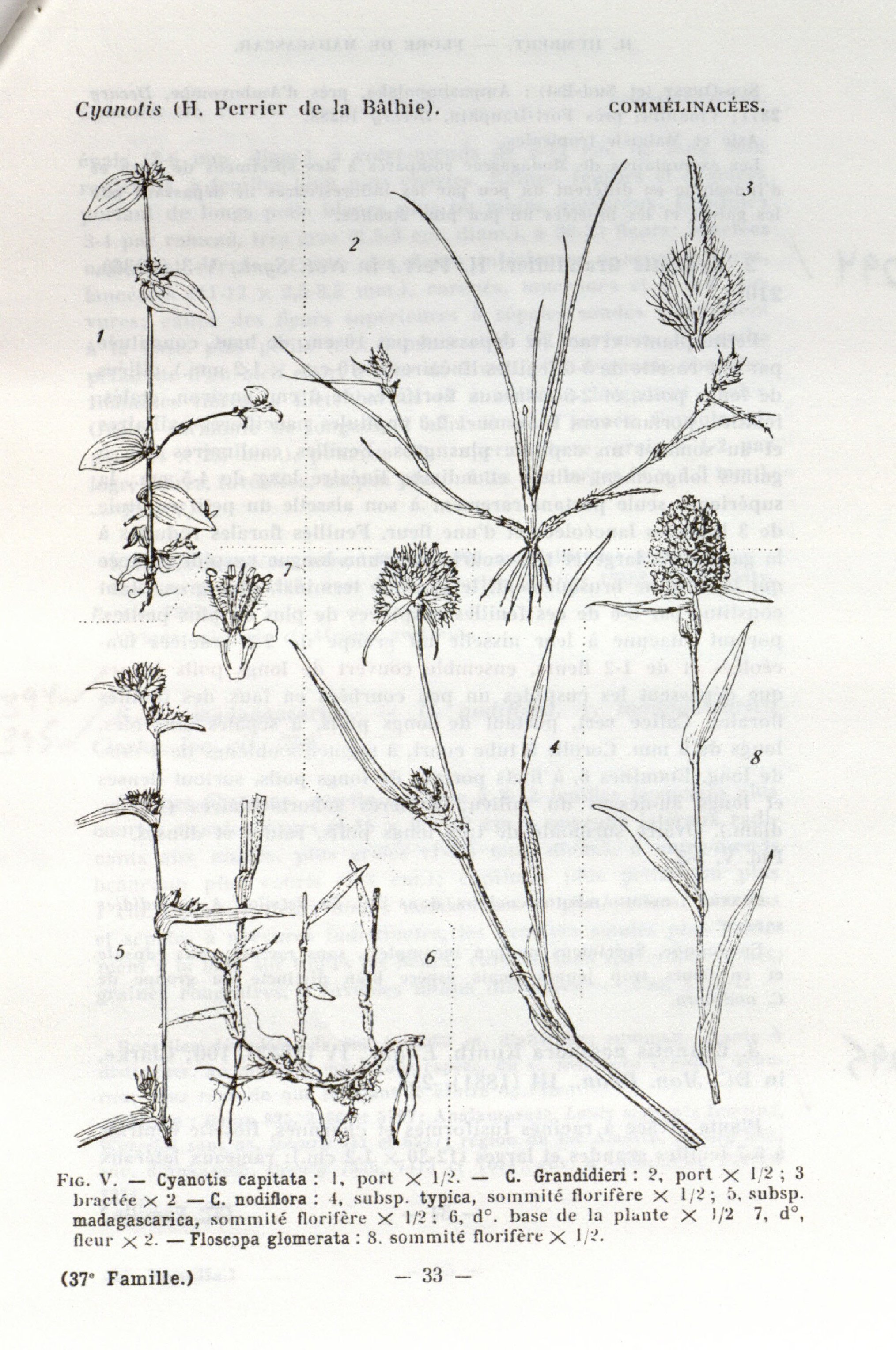 no full size  illustration available (3a)