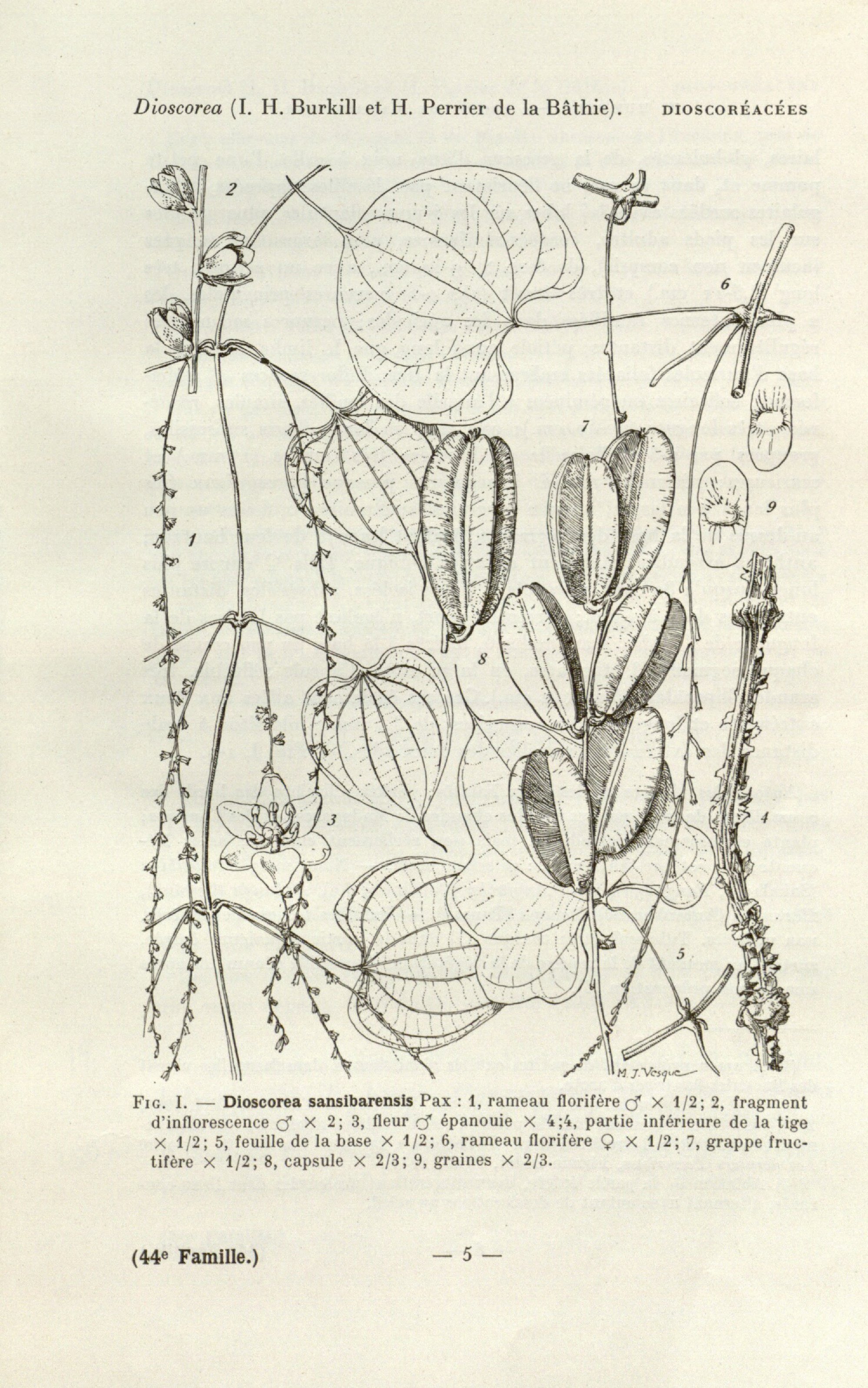 no full size  illustration available (3a)