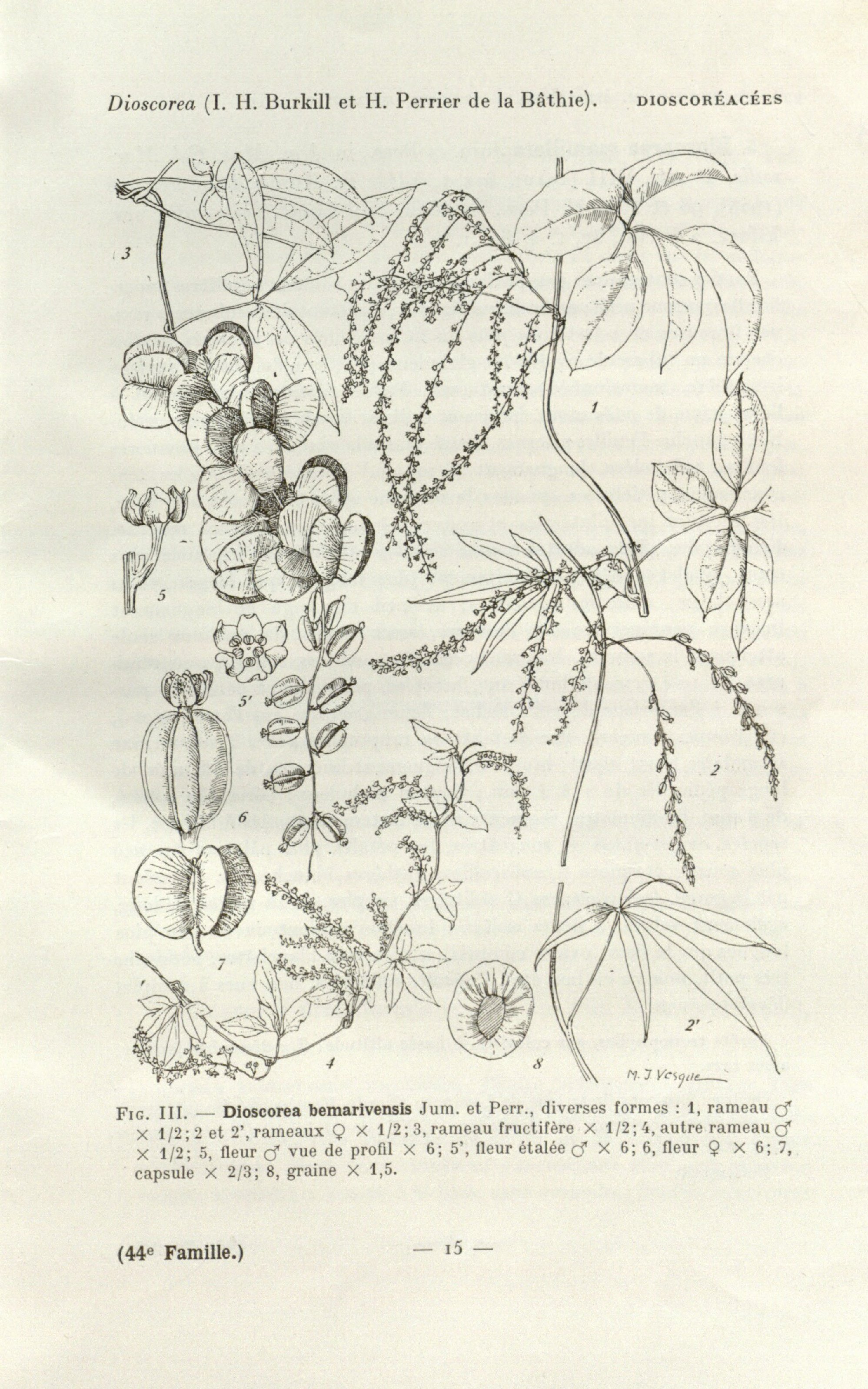 no full size  illustration available (3a)