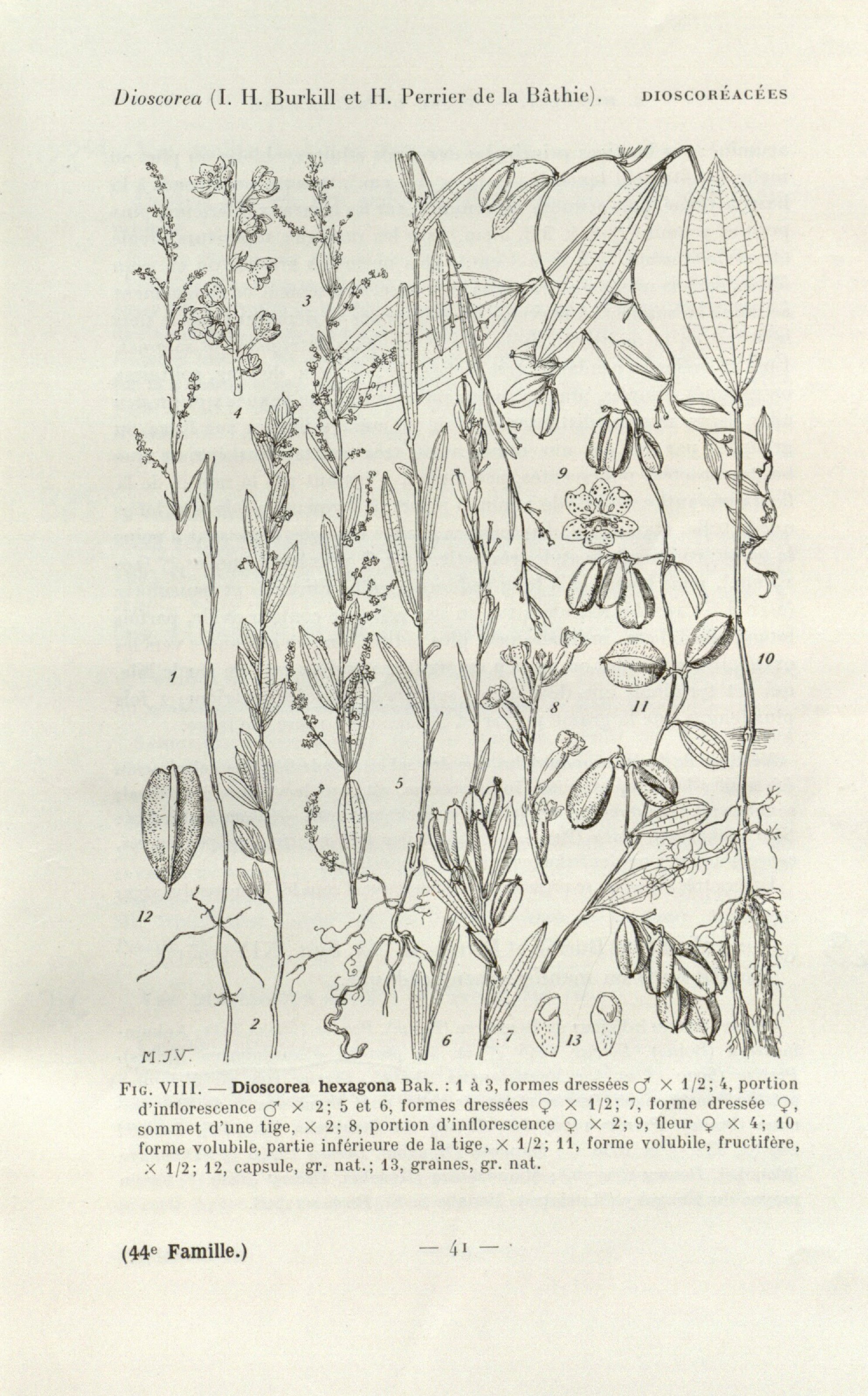 no full size  illustration available (3a)