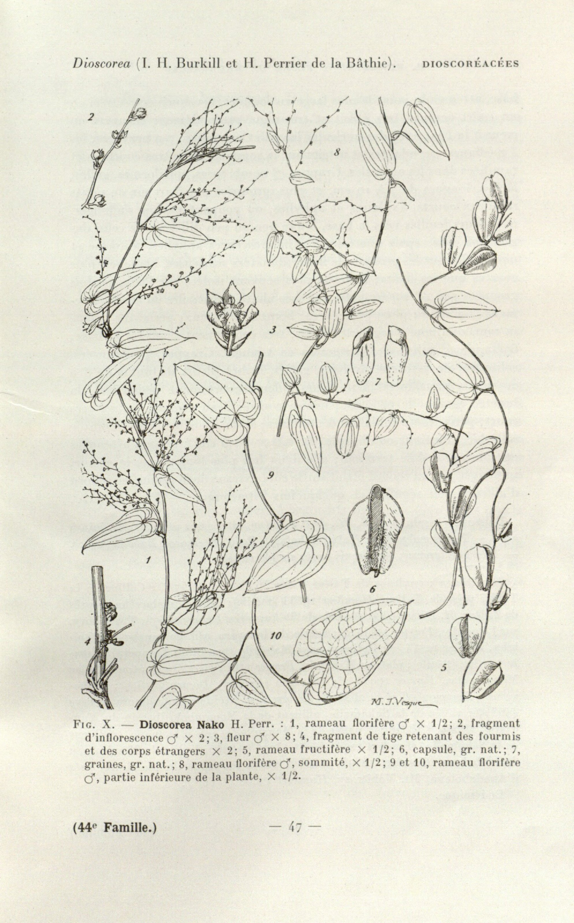 no full size  illustration available (3a)