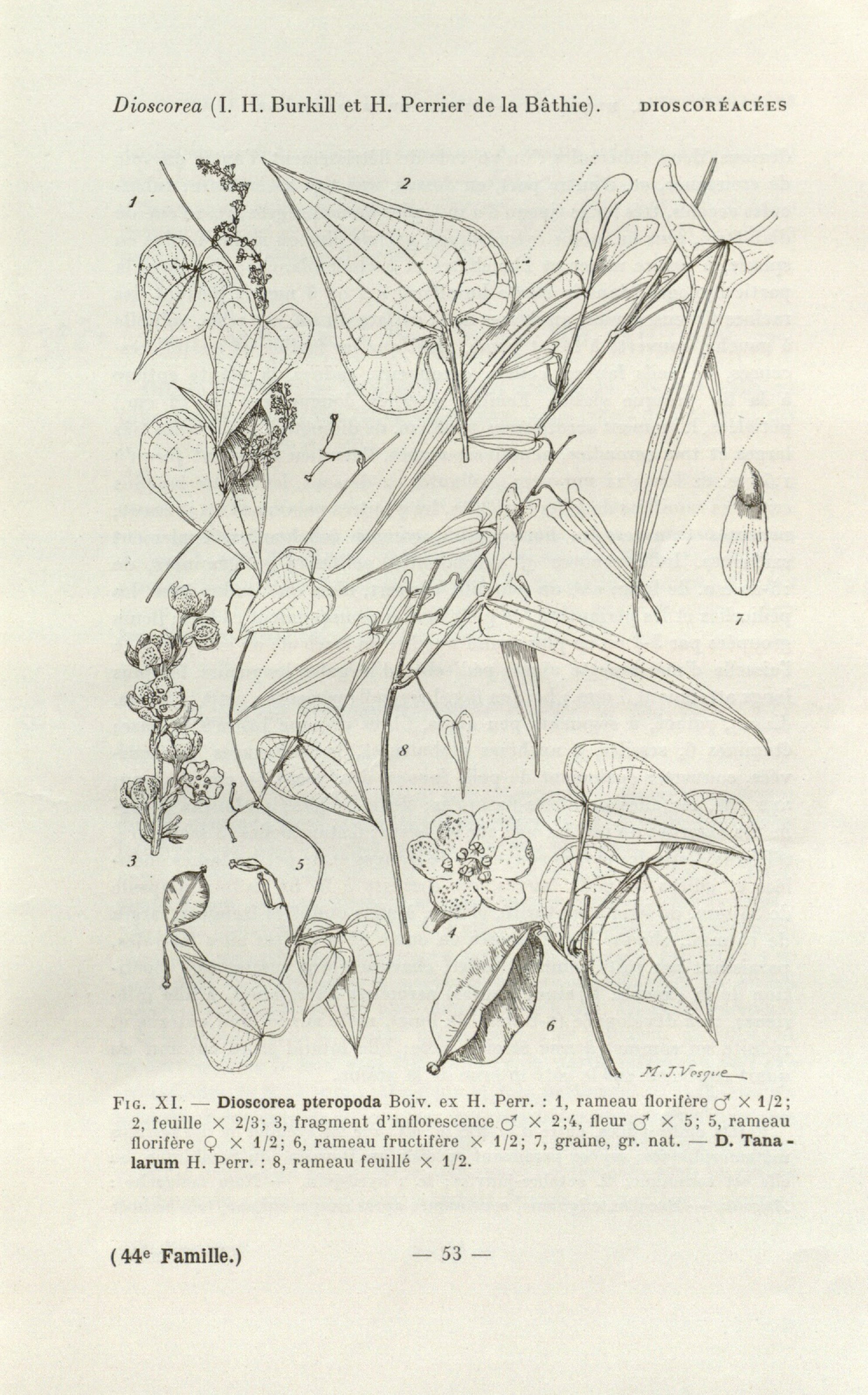 no full size  illustration available (3a)