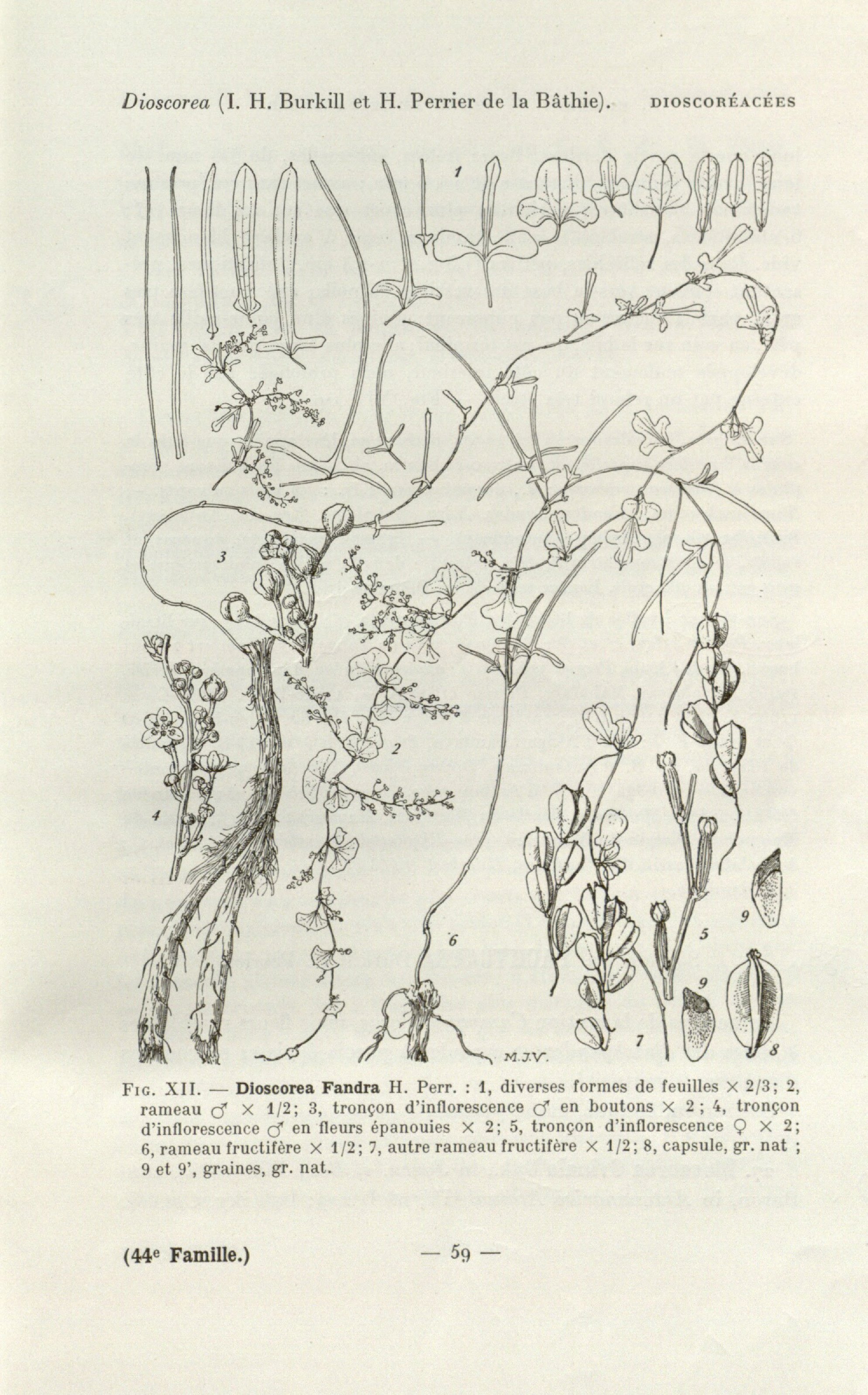 no full size  illustration available (3a)