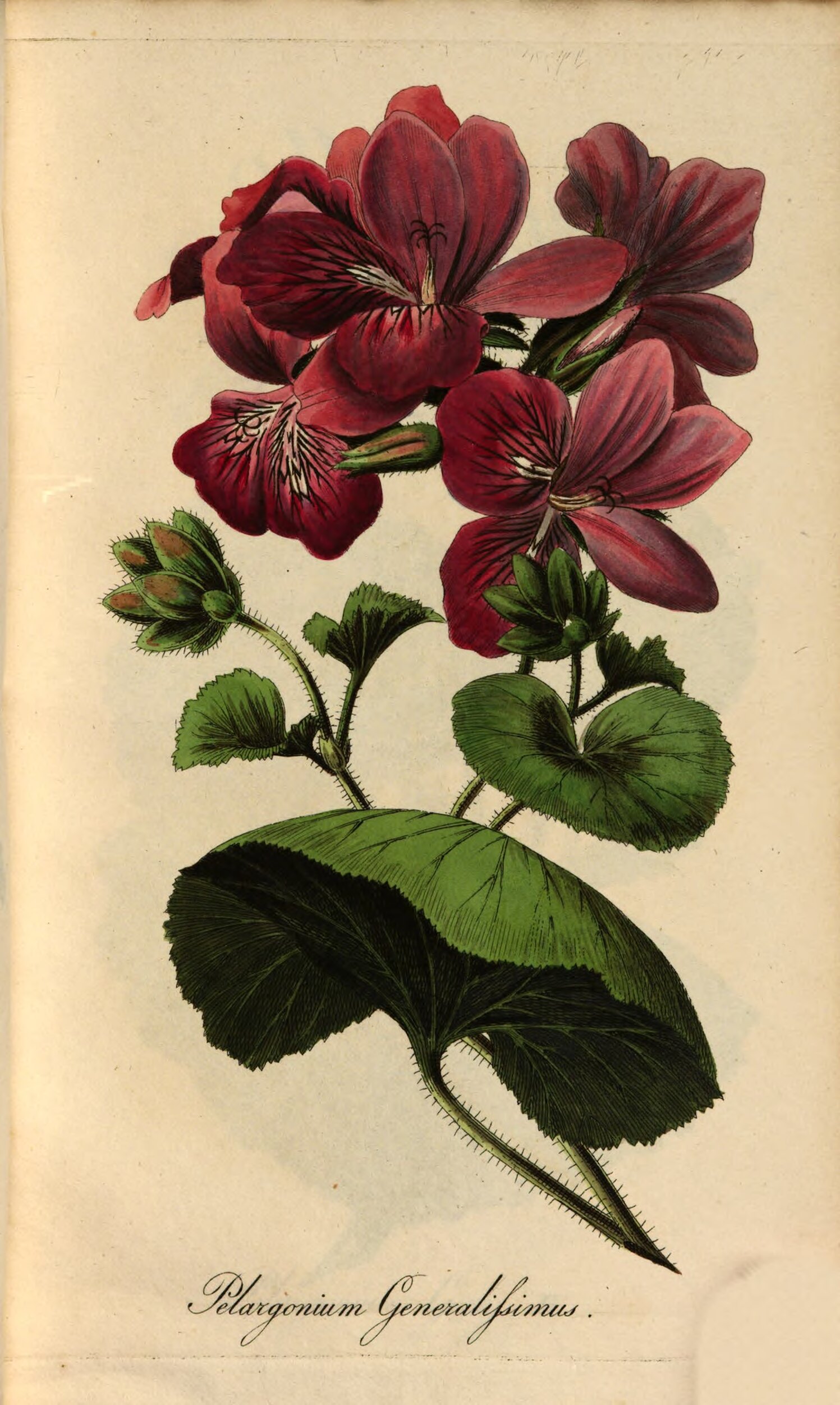 no full size  illustration available (3a)