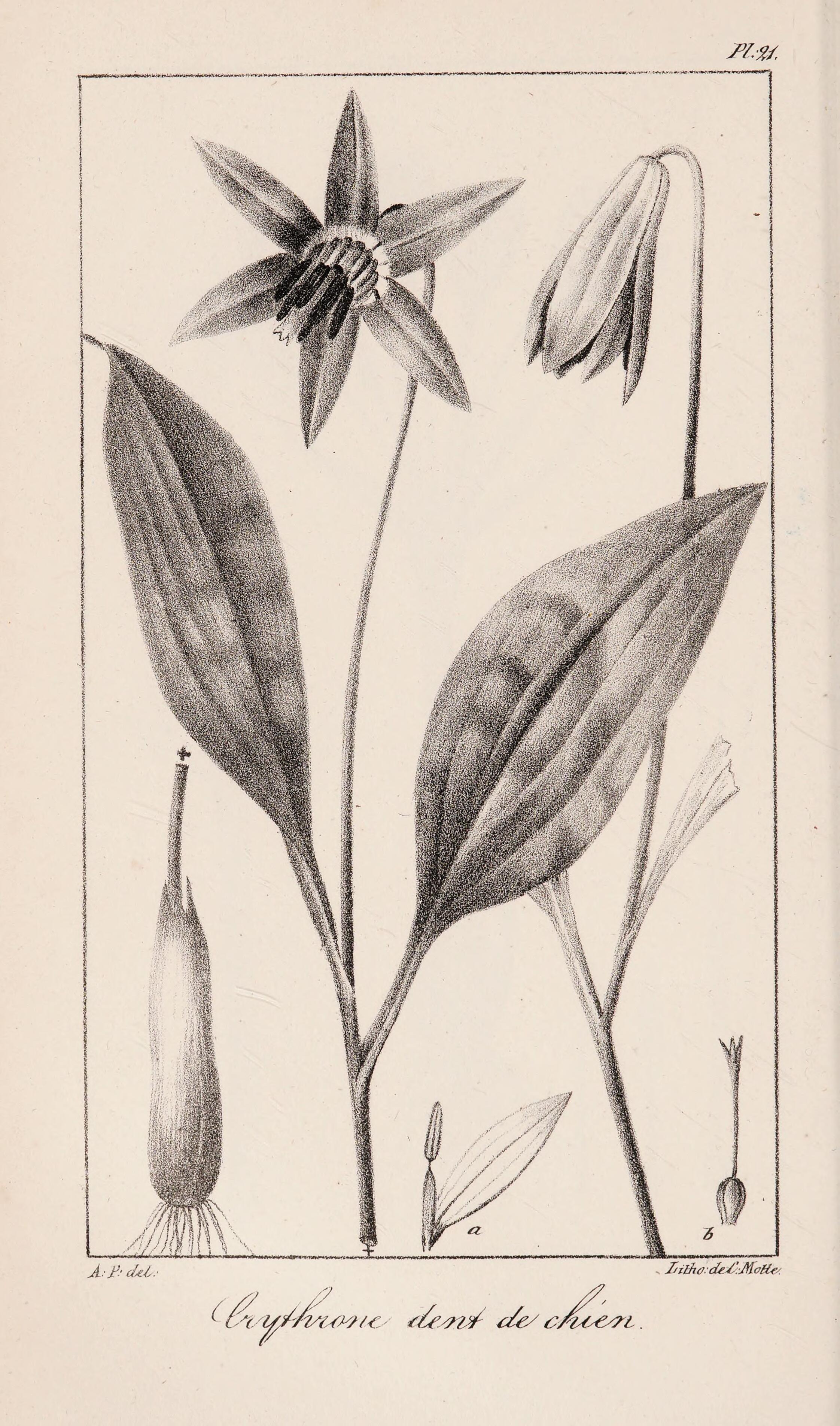 no full size  illustration available (3a)