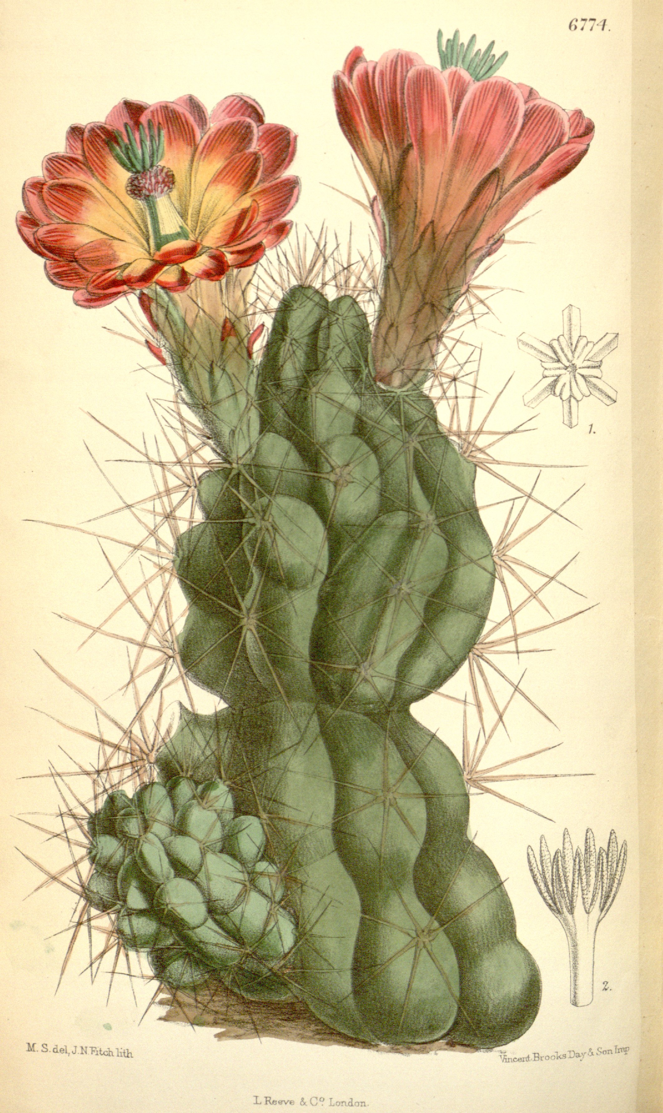 no full size  illustration available (3a)