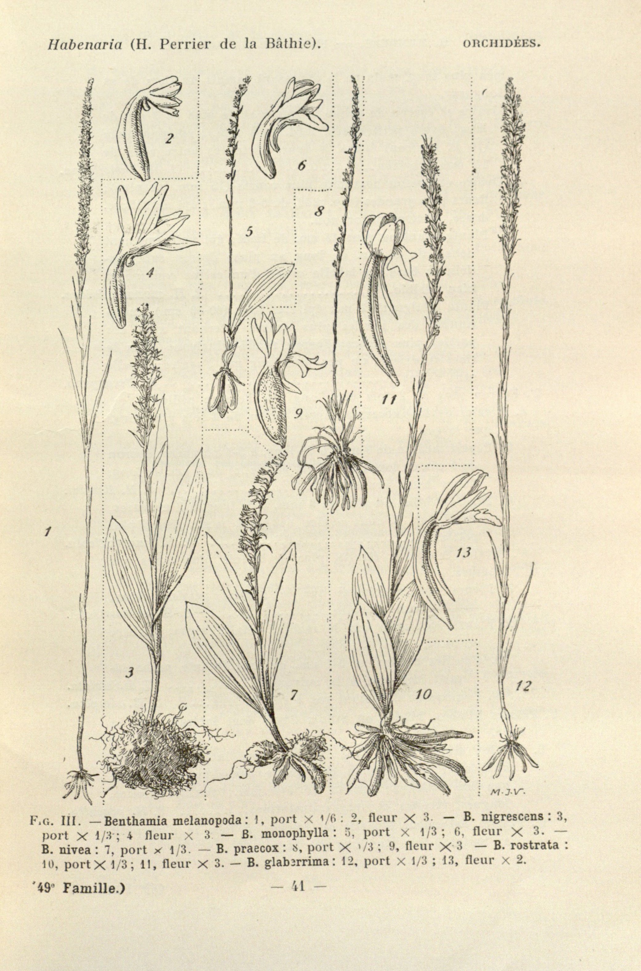 no full size  illustration available (3a)