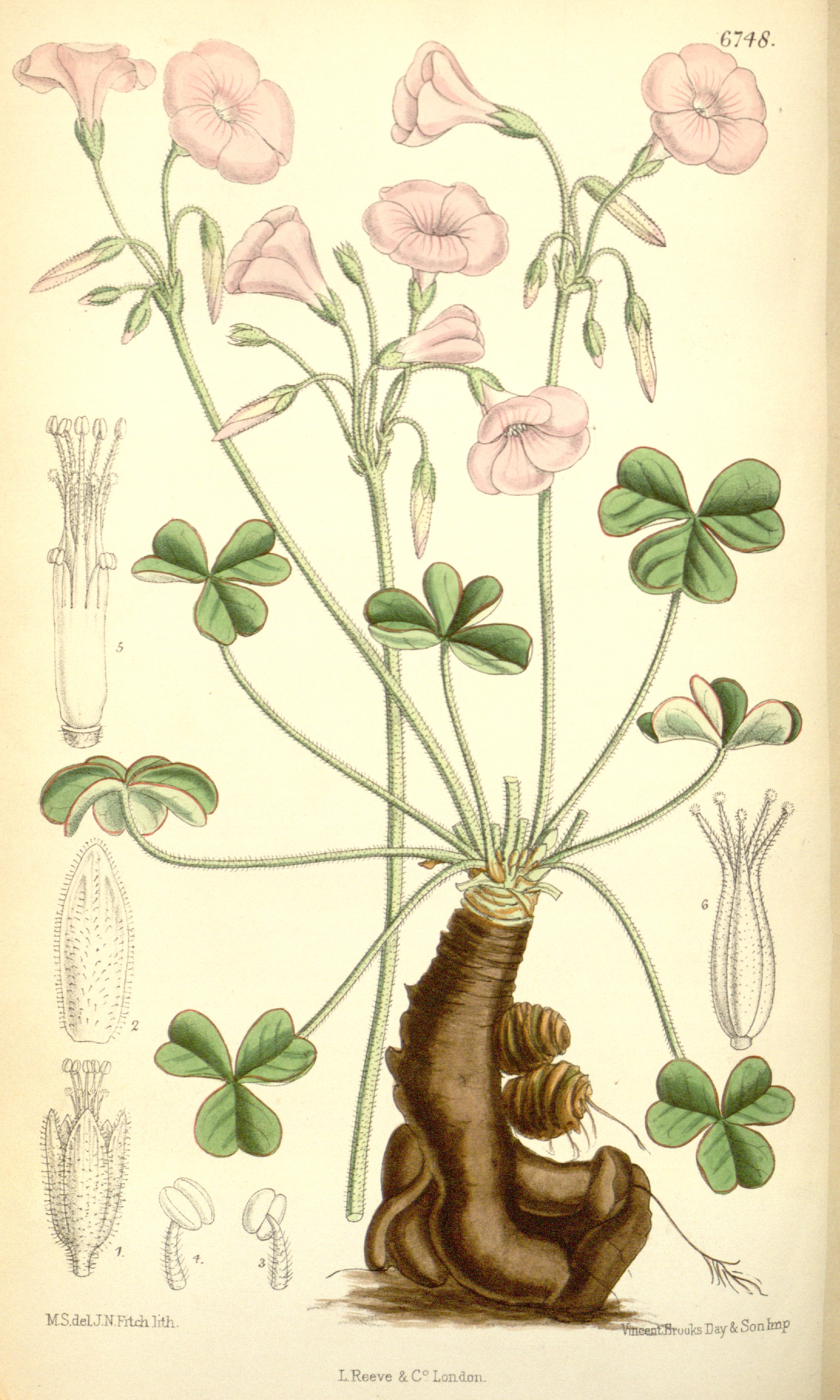 no full size  illustration available (3a)