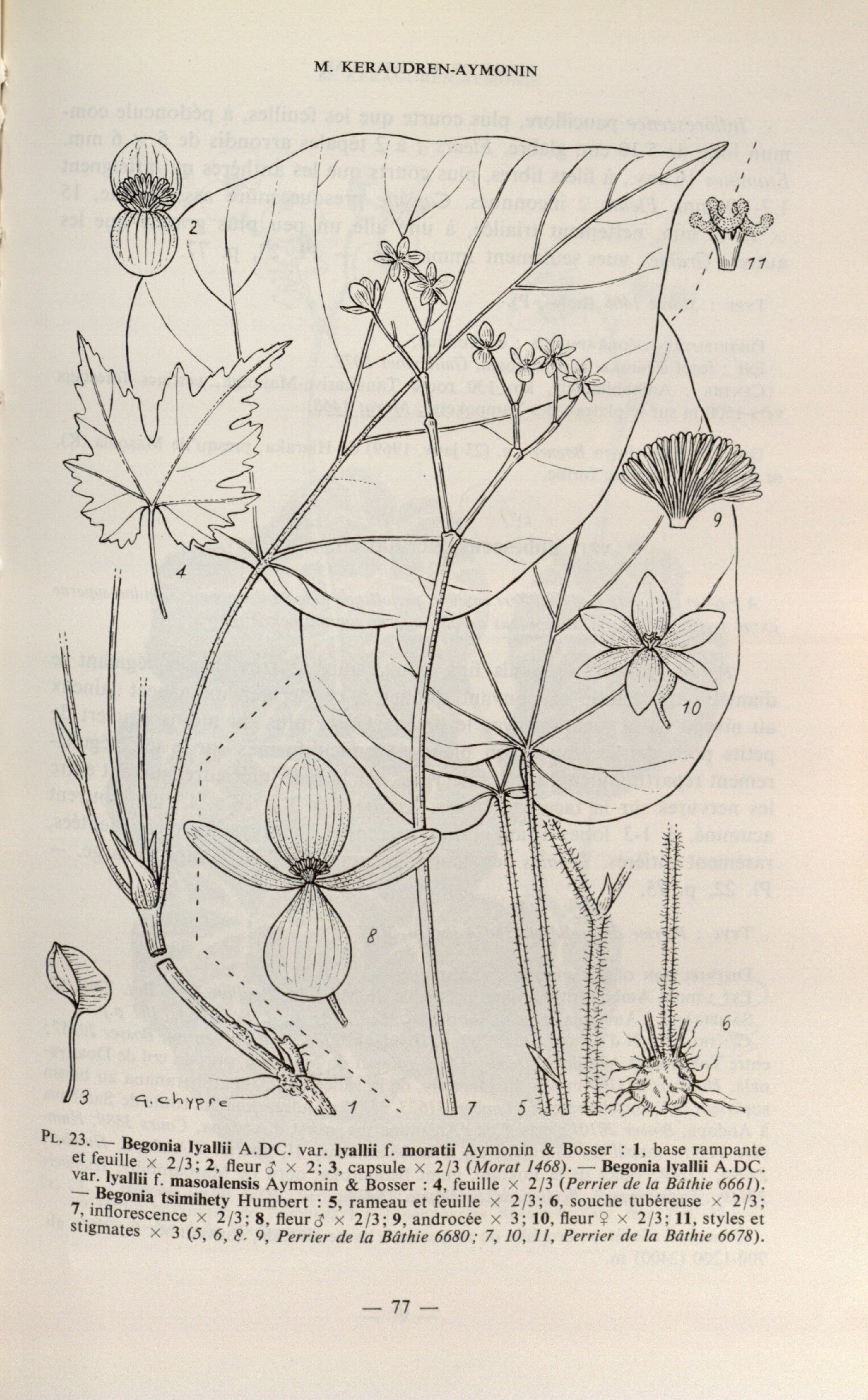 no full size  illustration available (3a)