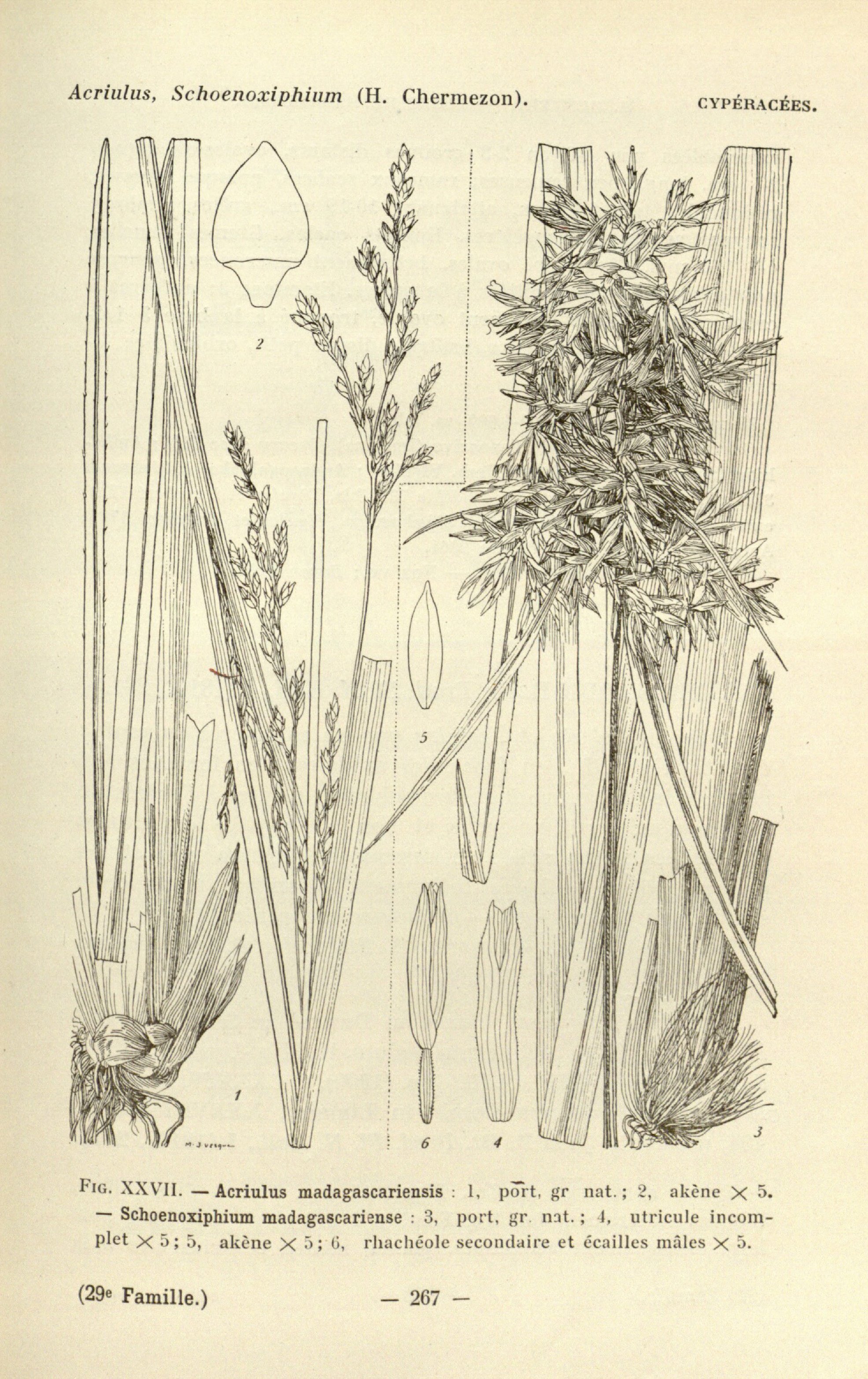 no full size  illustration available (3a)