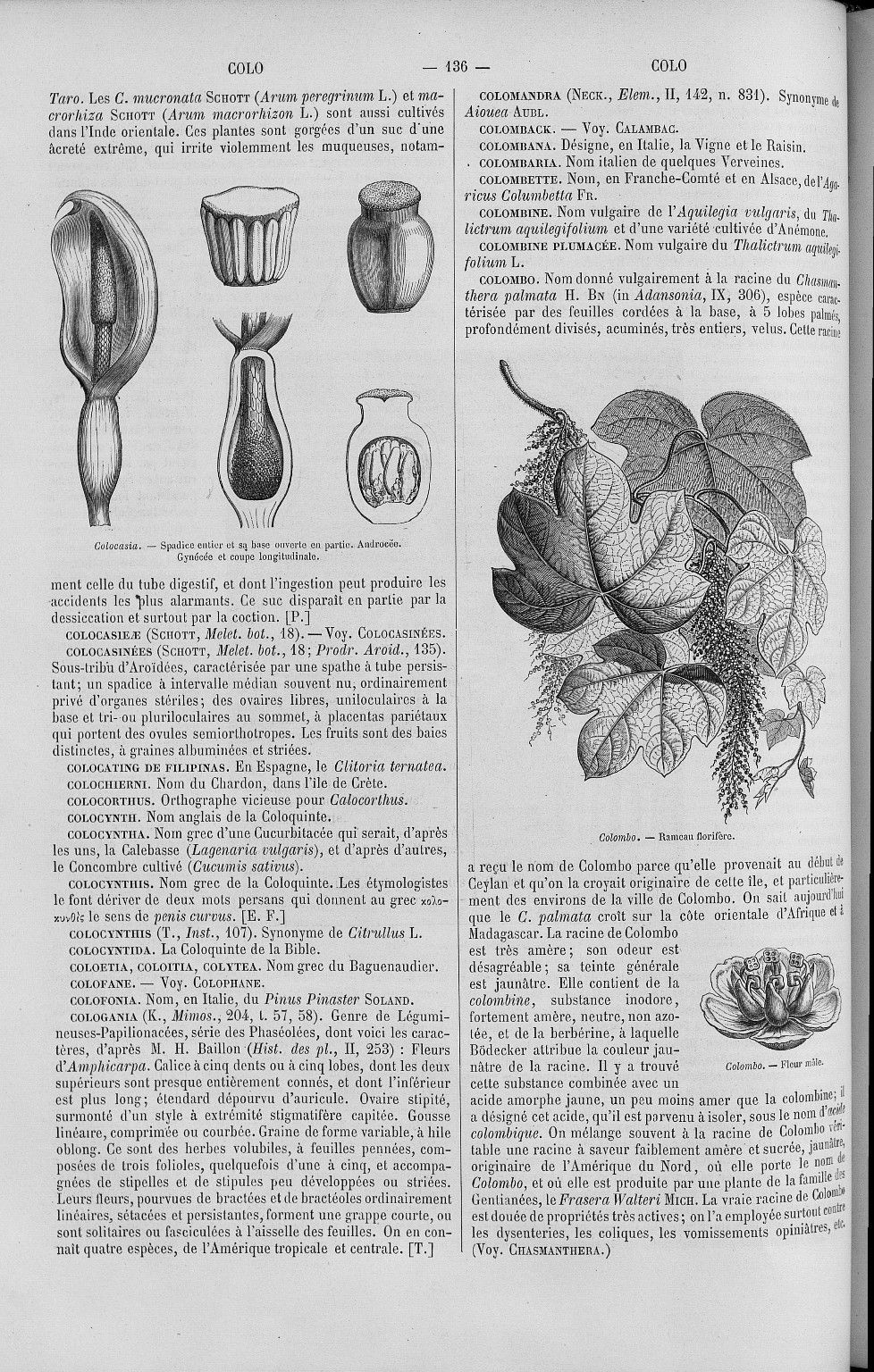 no full size  illustration available (3a)