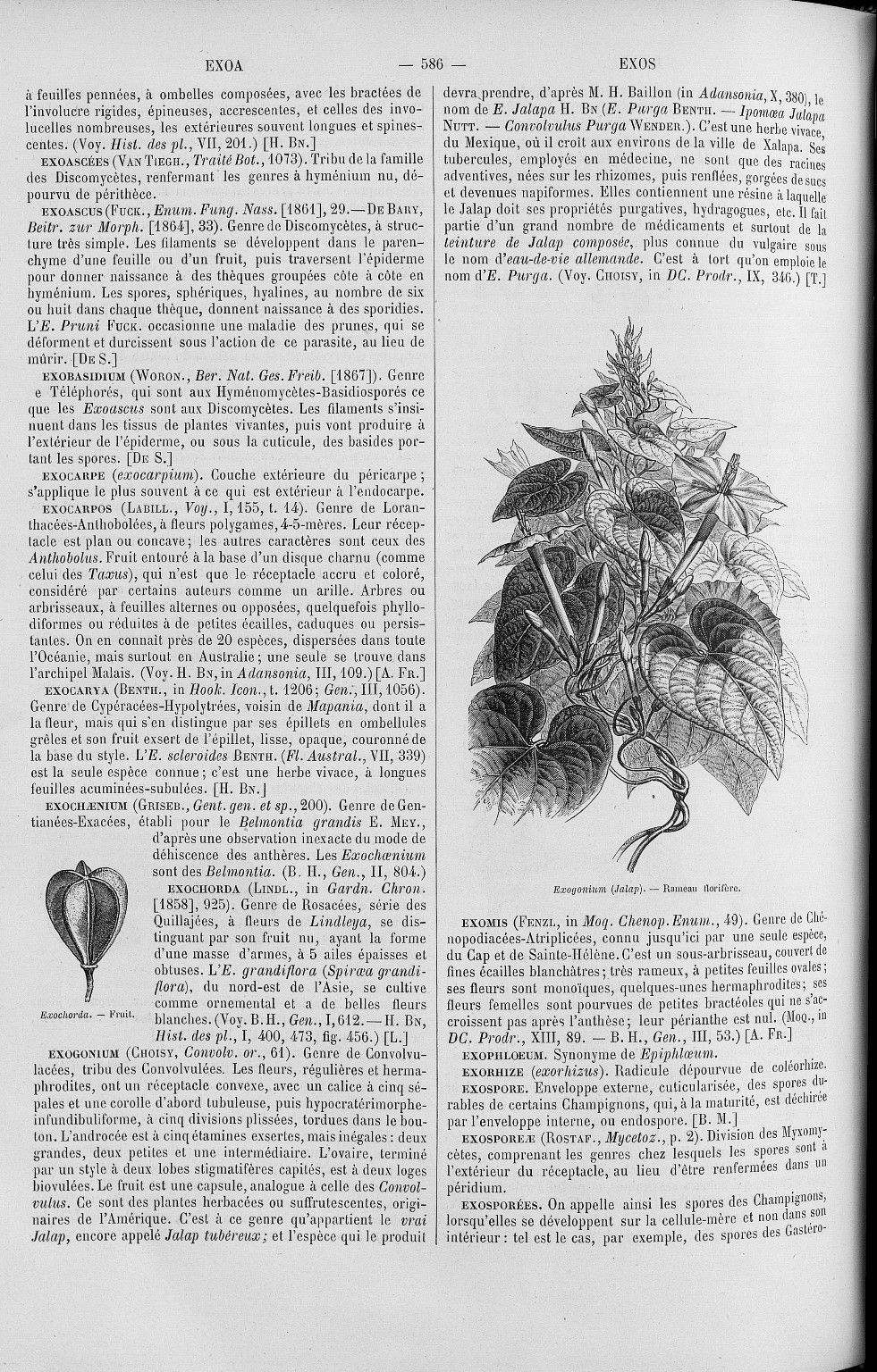 no full size  illustration available (3a)