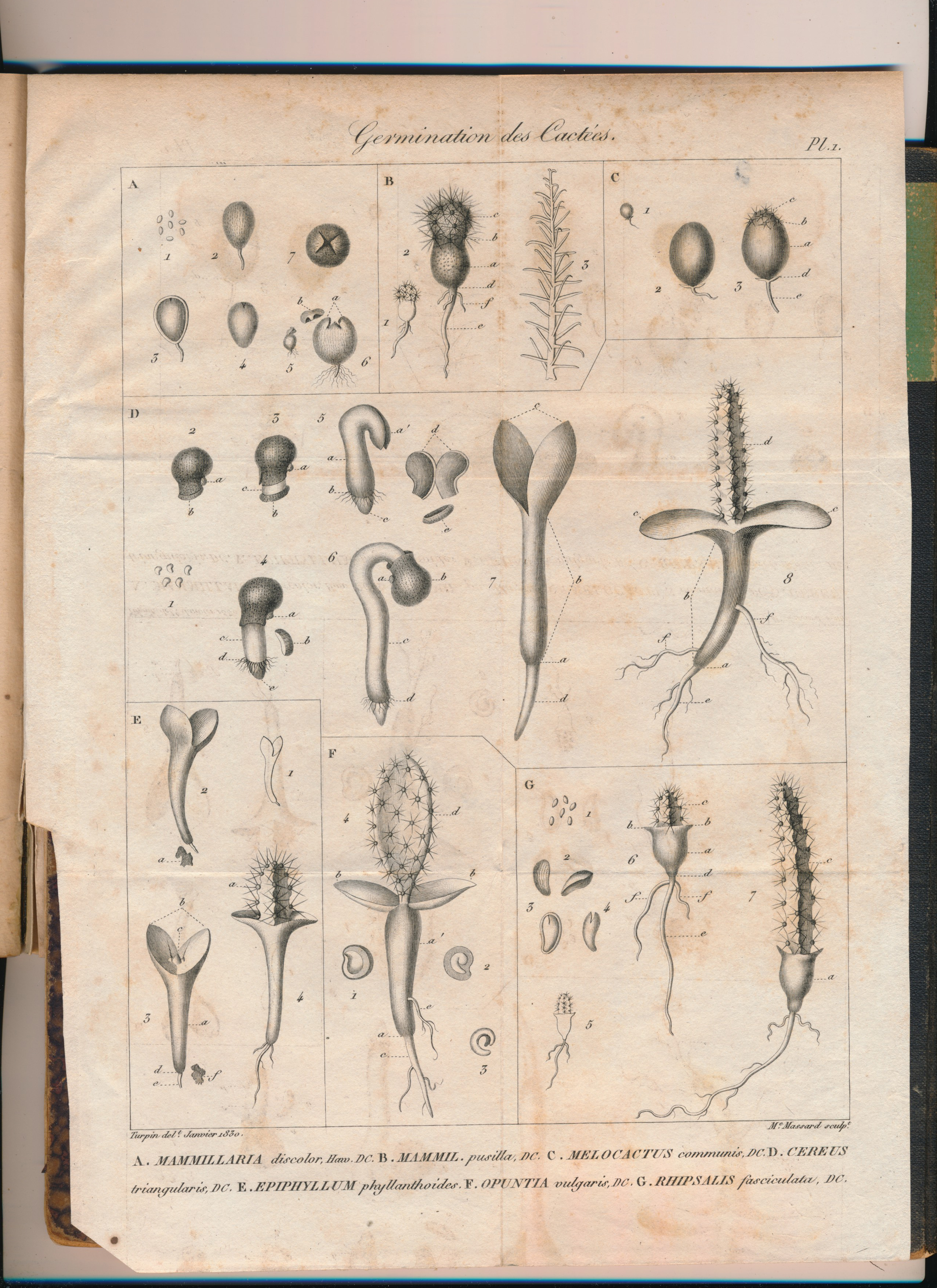 no full size  illustration available (3a)