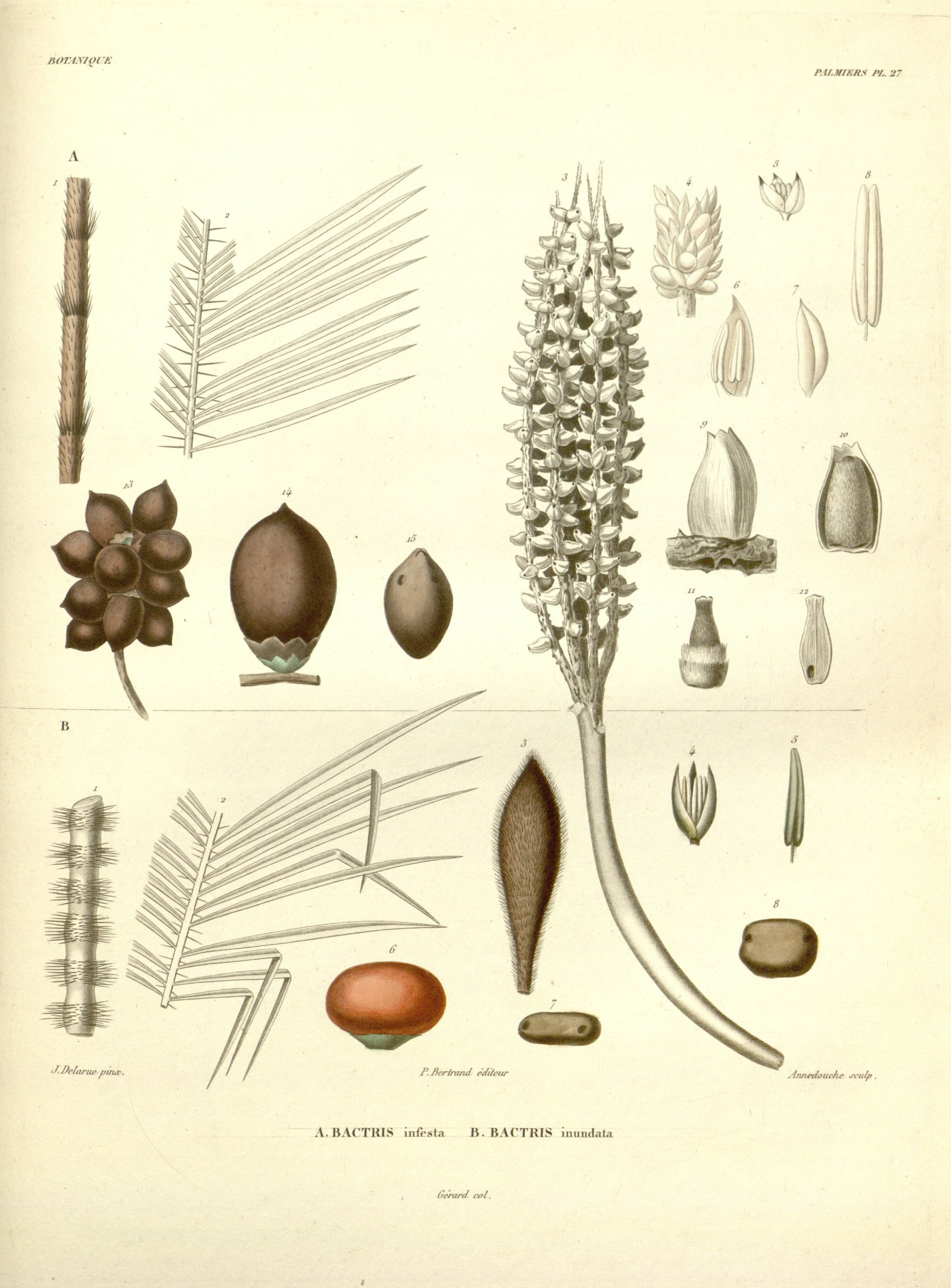 no full size  illustration available (3a)