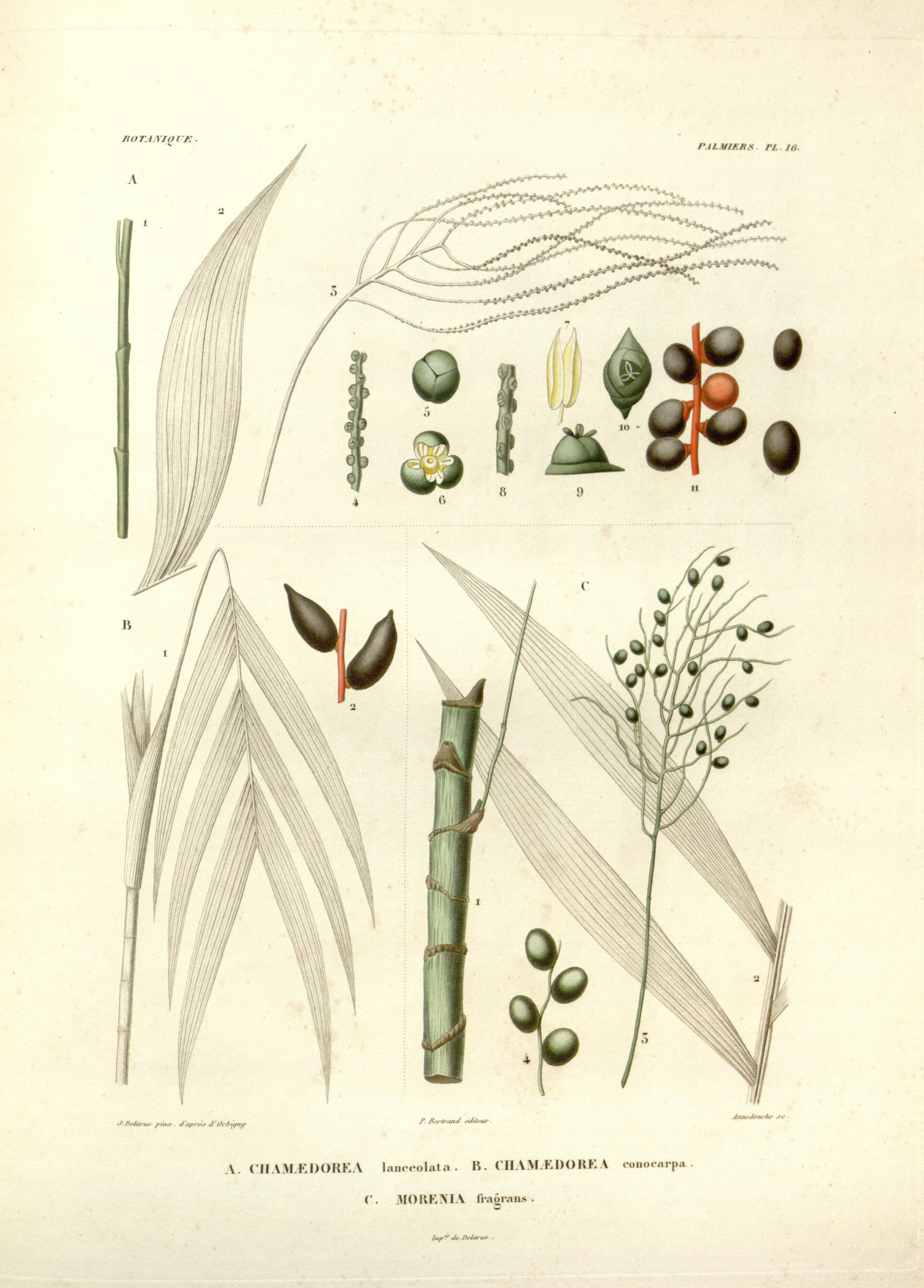 no full size  illustration available (3a)