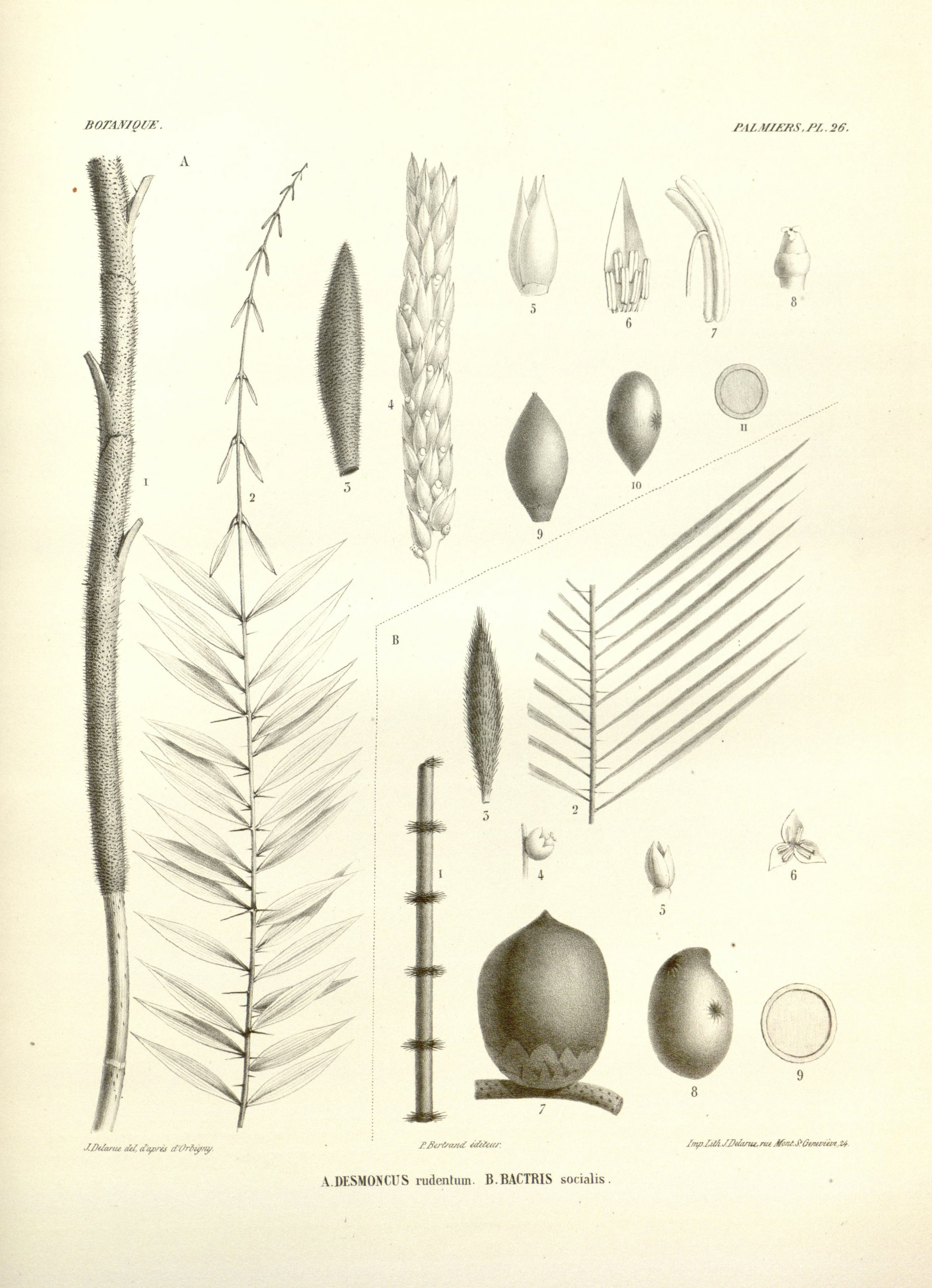 no full size  illustration available (3a)