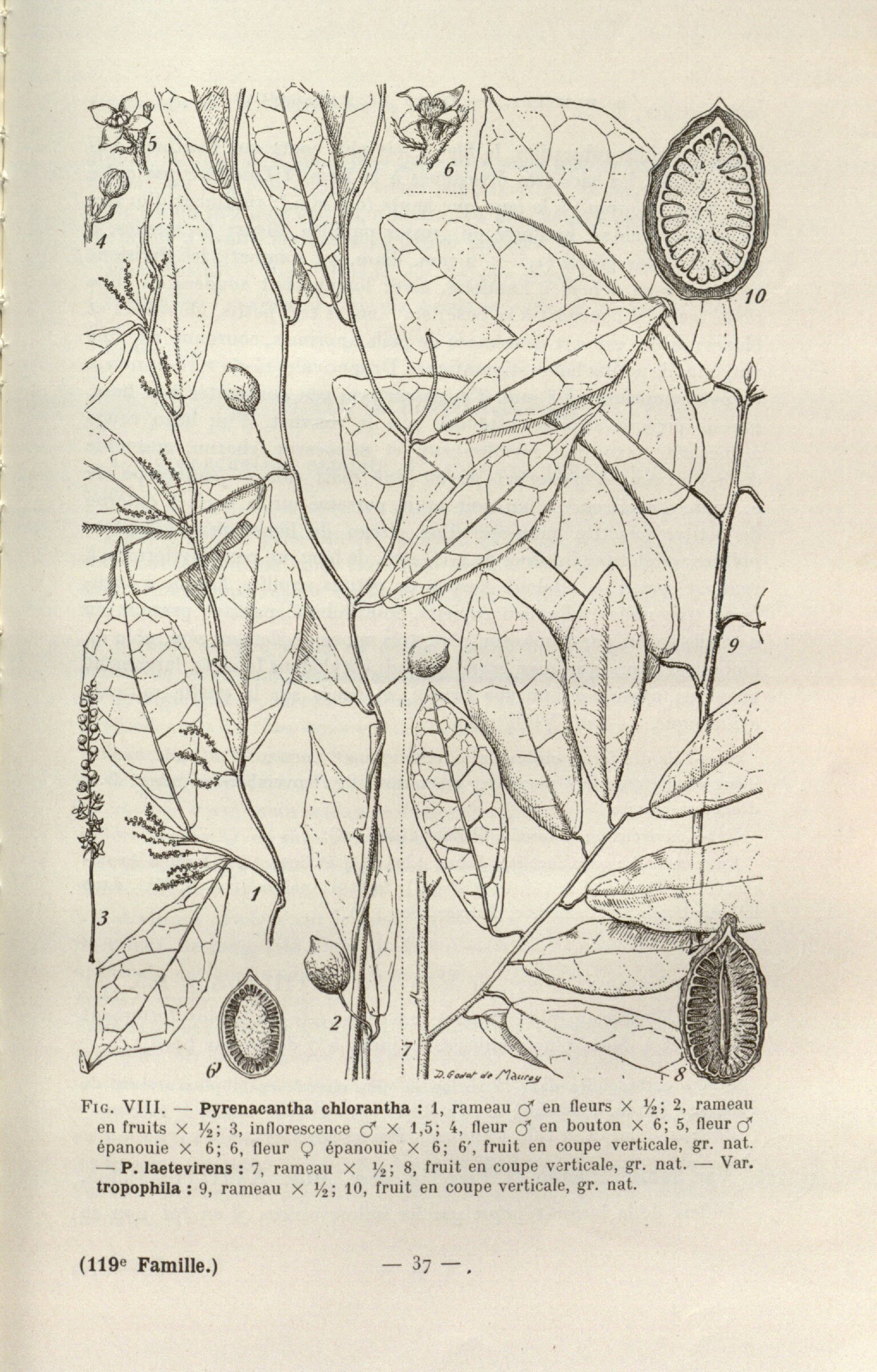 no full size  illustration available (3a)