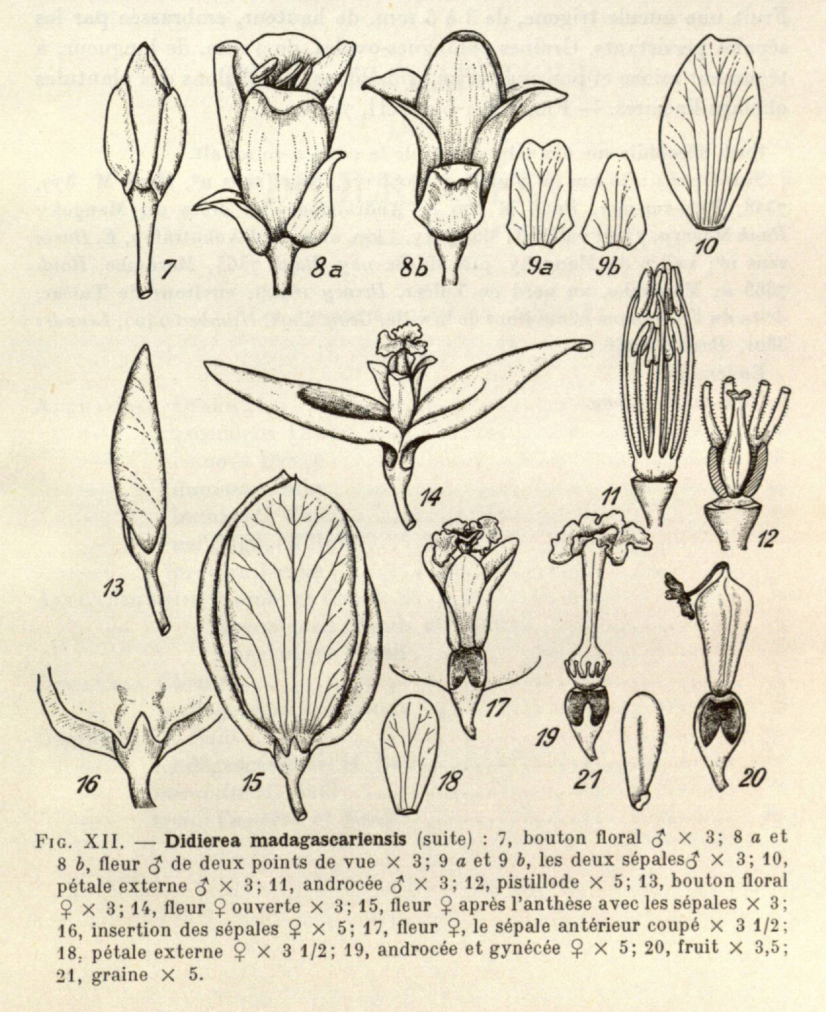 no full size  illustration available (3a)