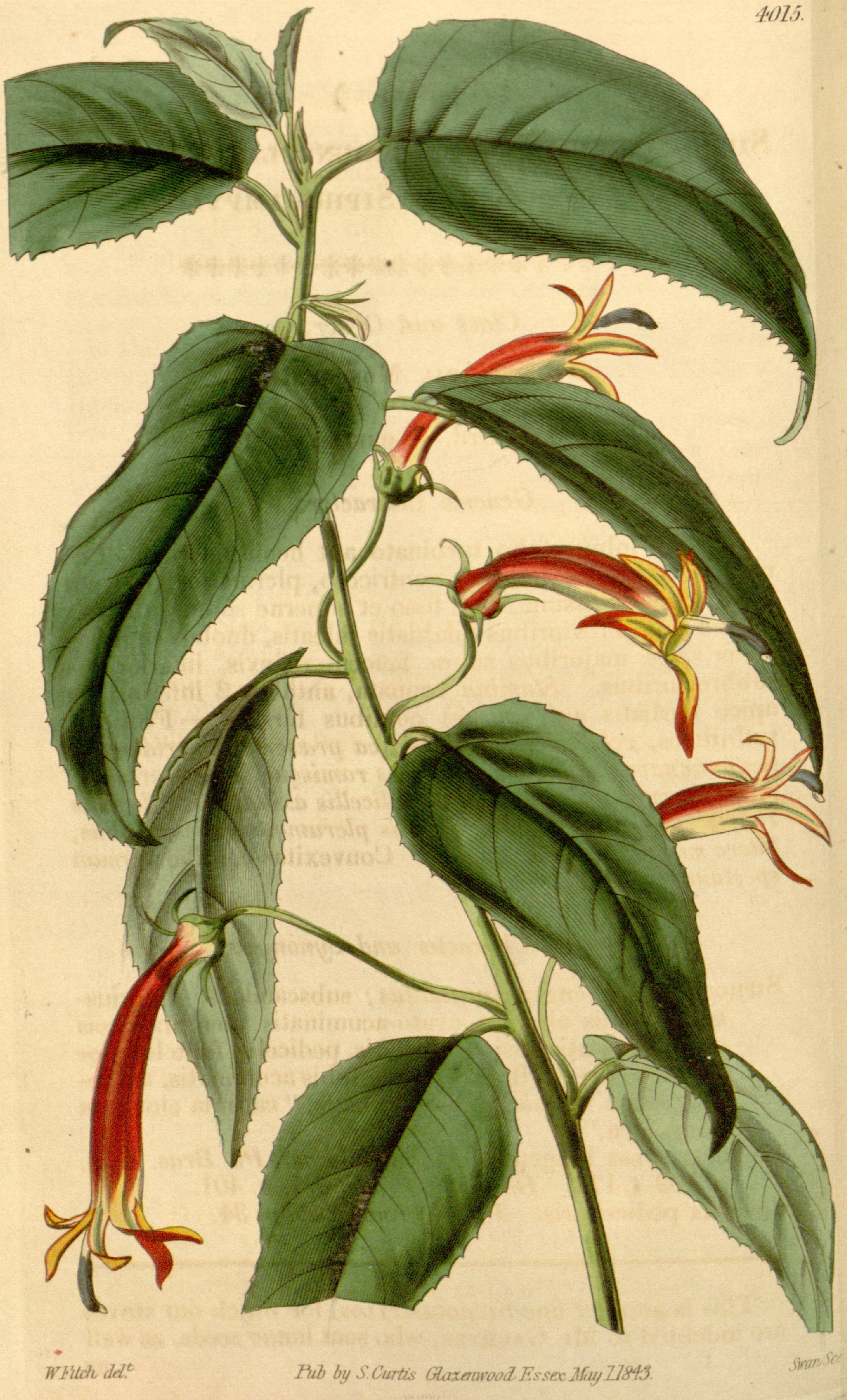 no full size  illustration available (3a)