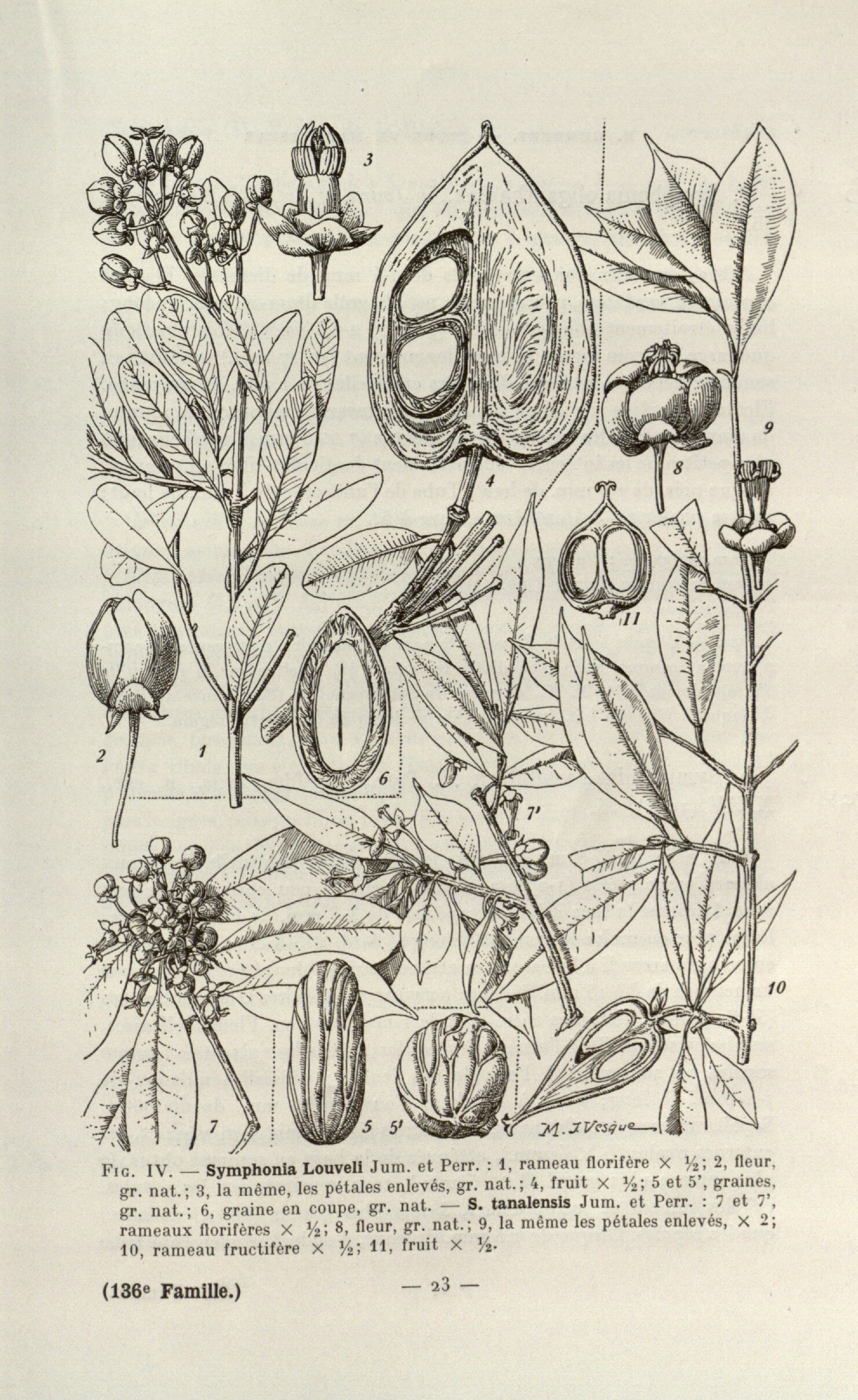 no full size  illustration available (3a)