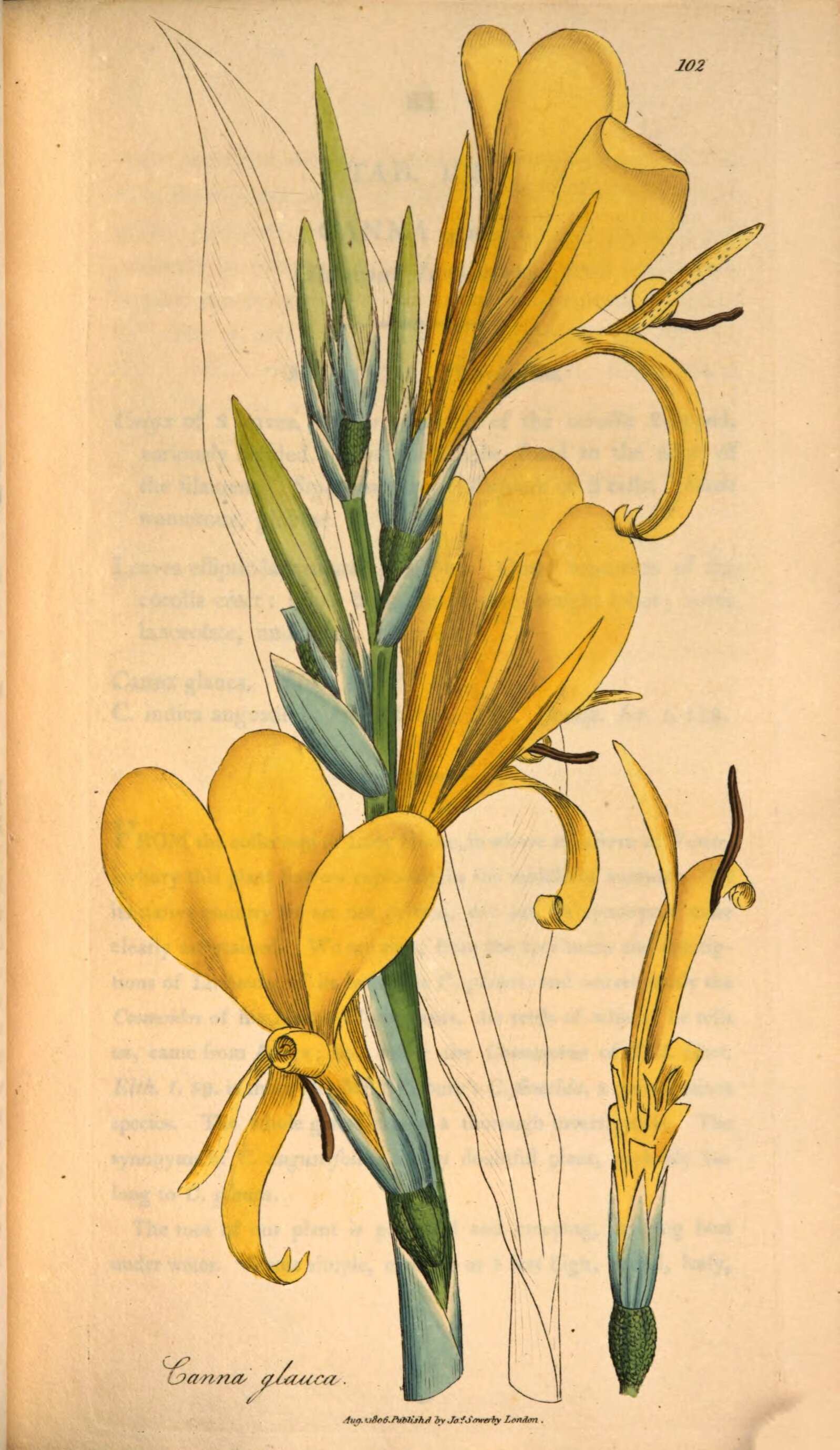 no full size  illustration available (3a)