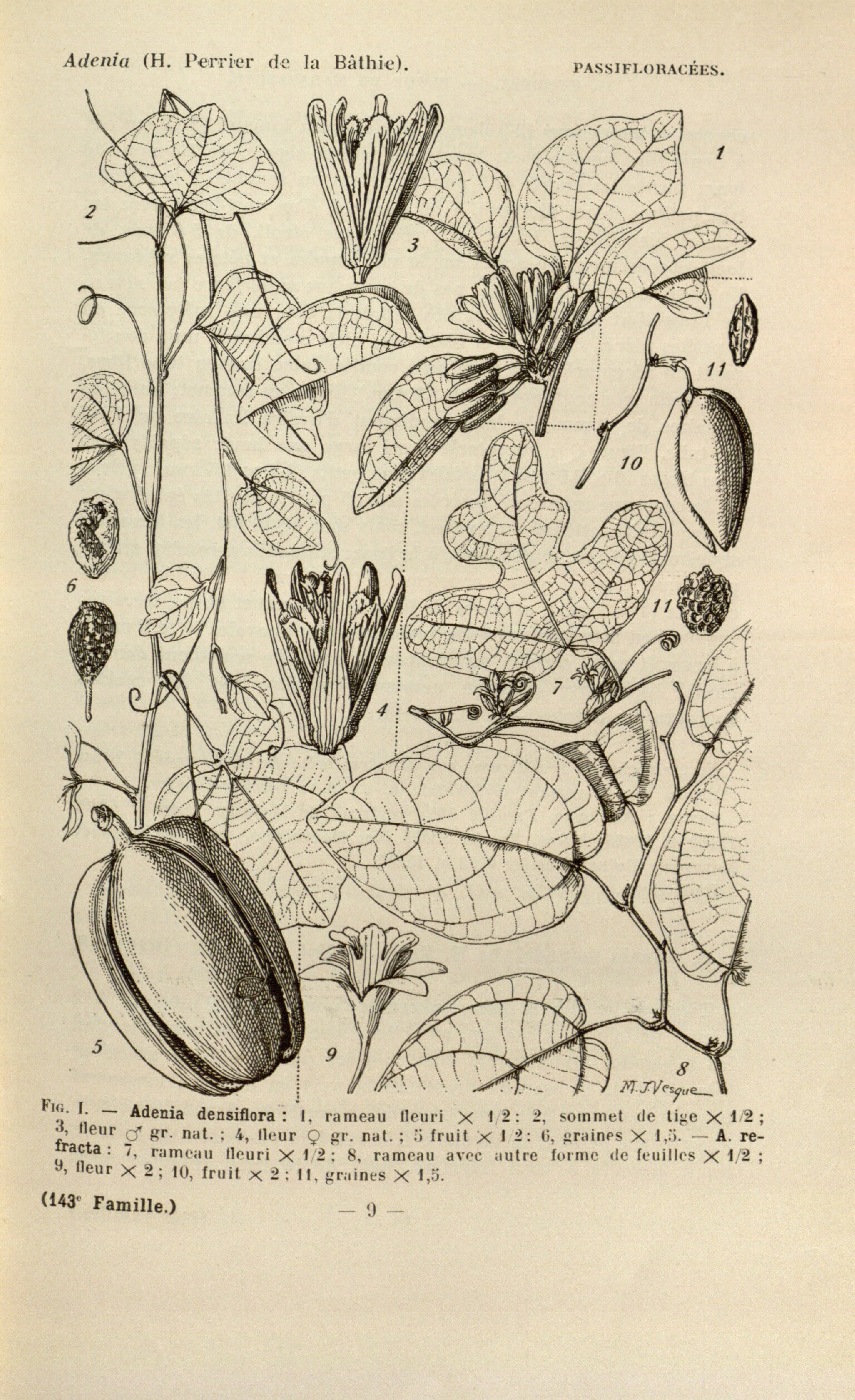 no full size  illustration available (3a)