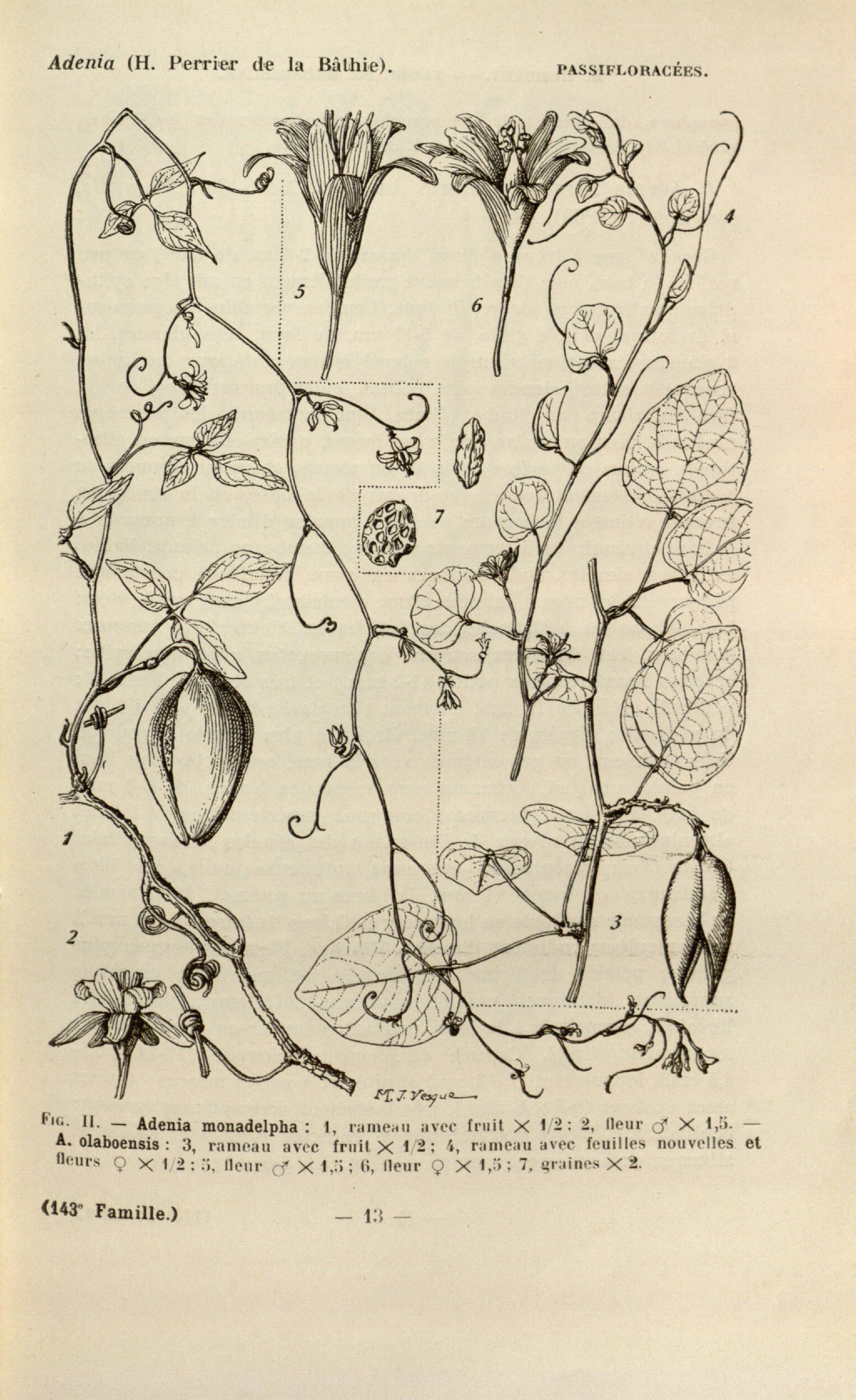 no full size  illustration available (3a)