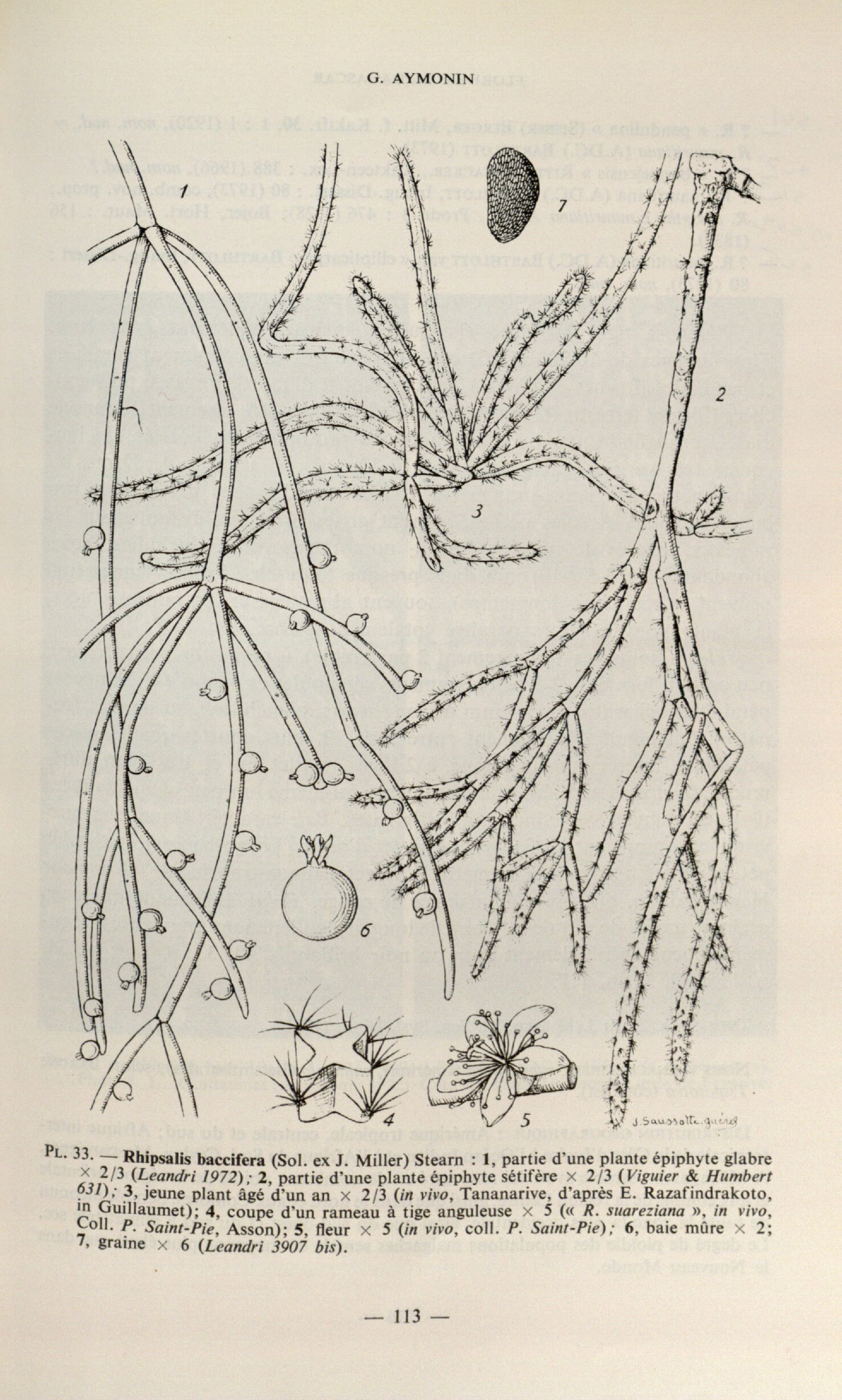 no full size  illustration available (3a)