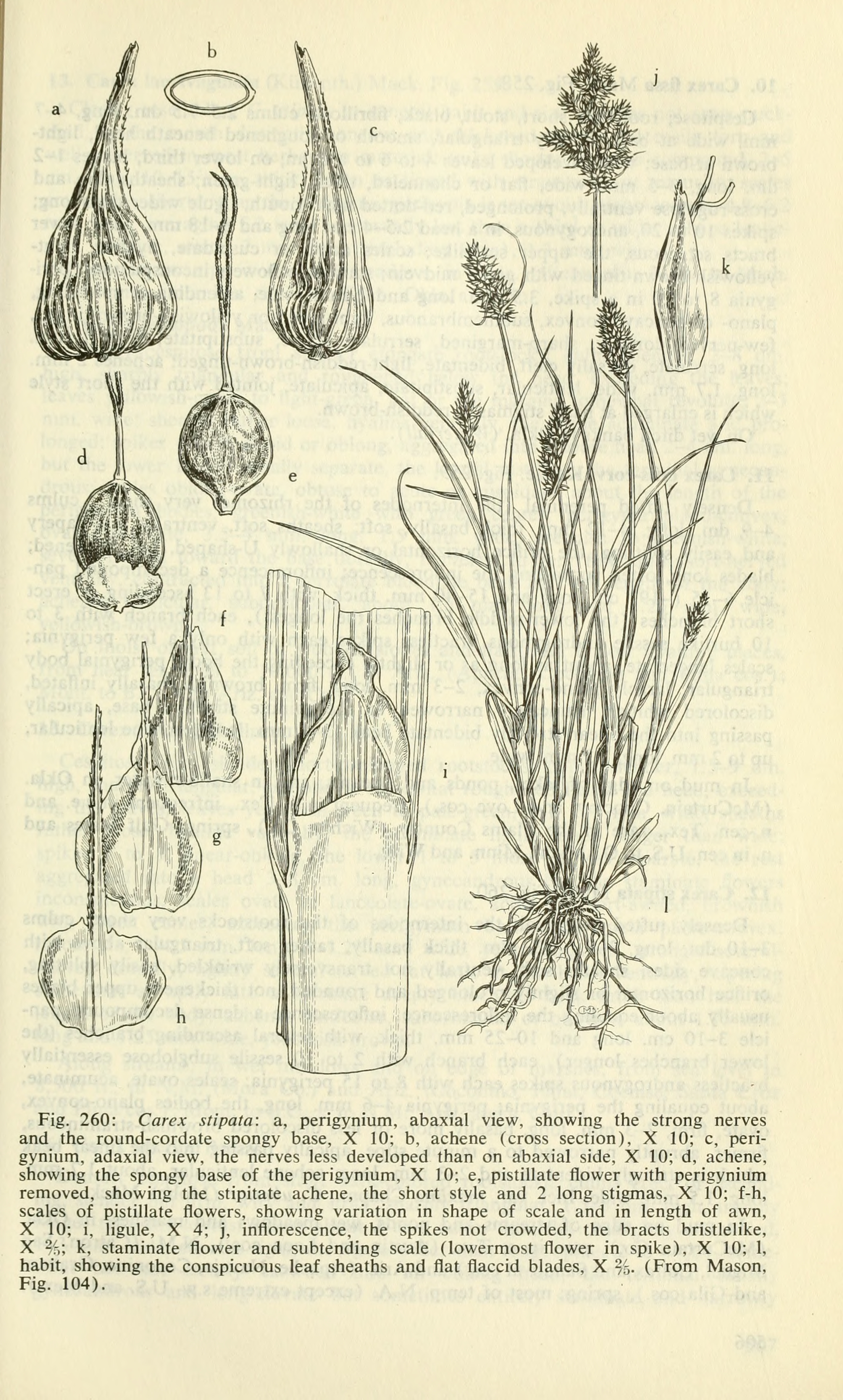 no full size  illustration available (3a)