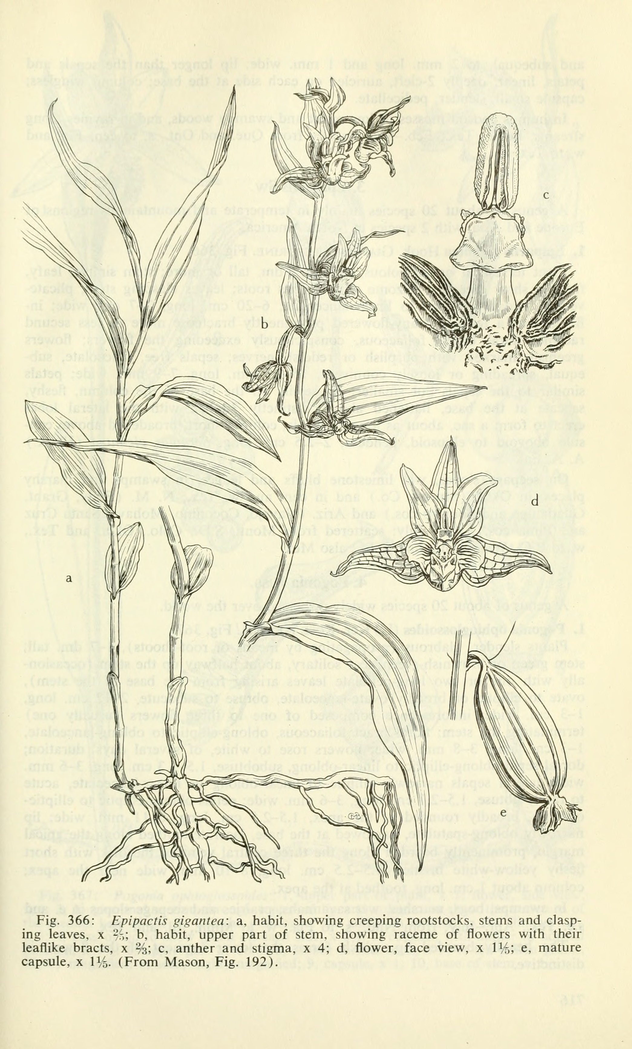 no full size  illustration available (3a)