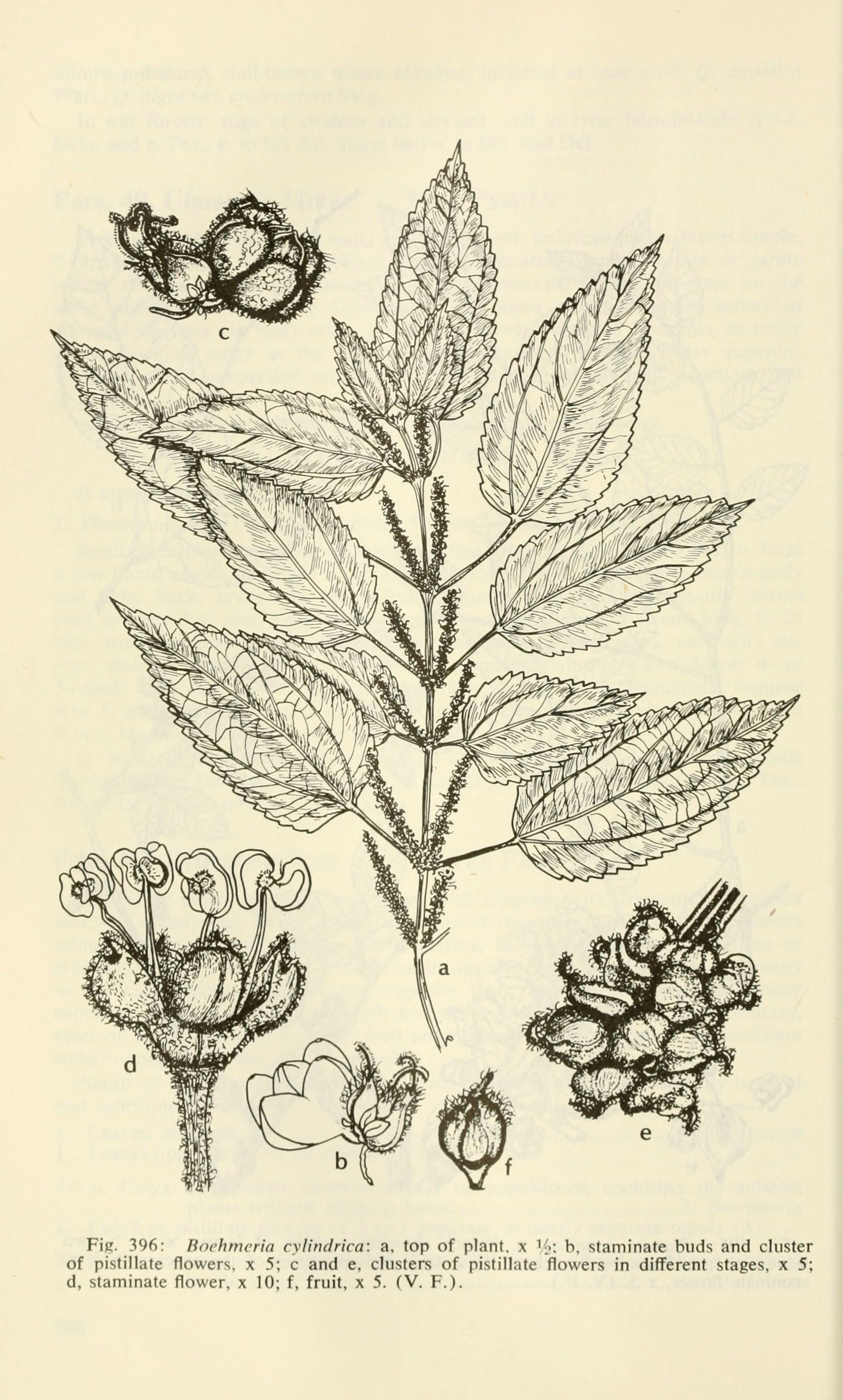 no full size  illustration available (3a)