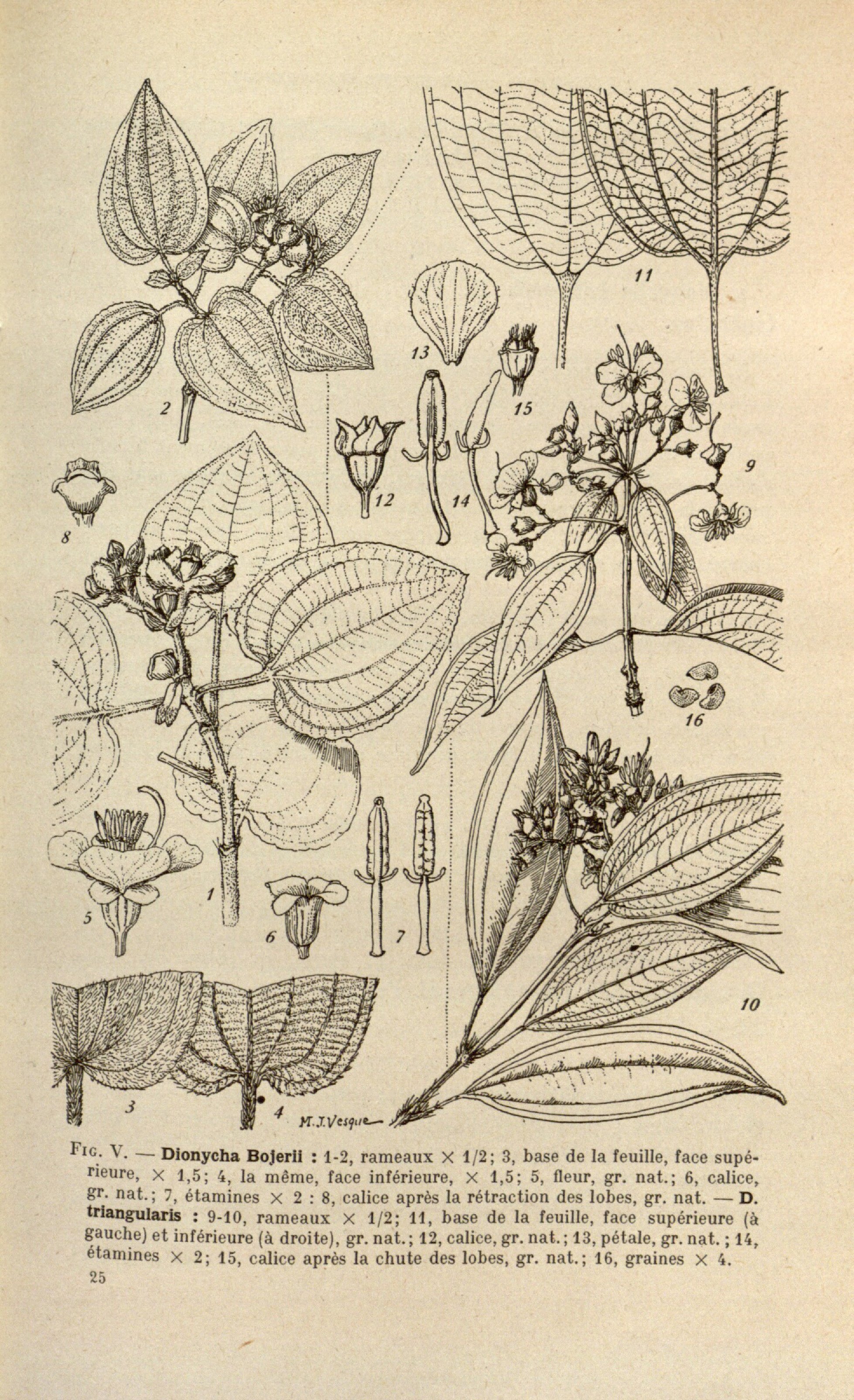 no full size  illustration available (3a)