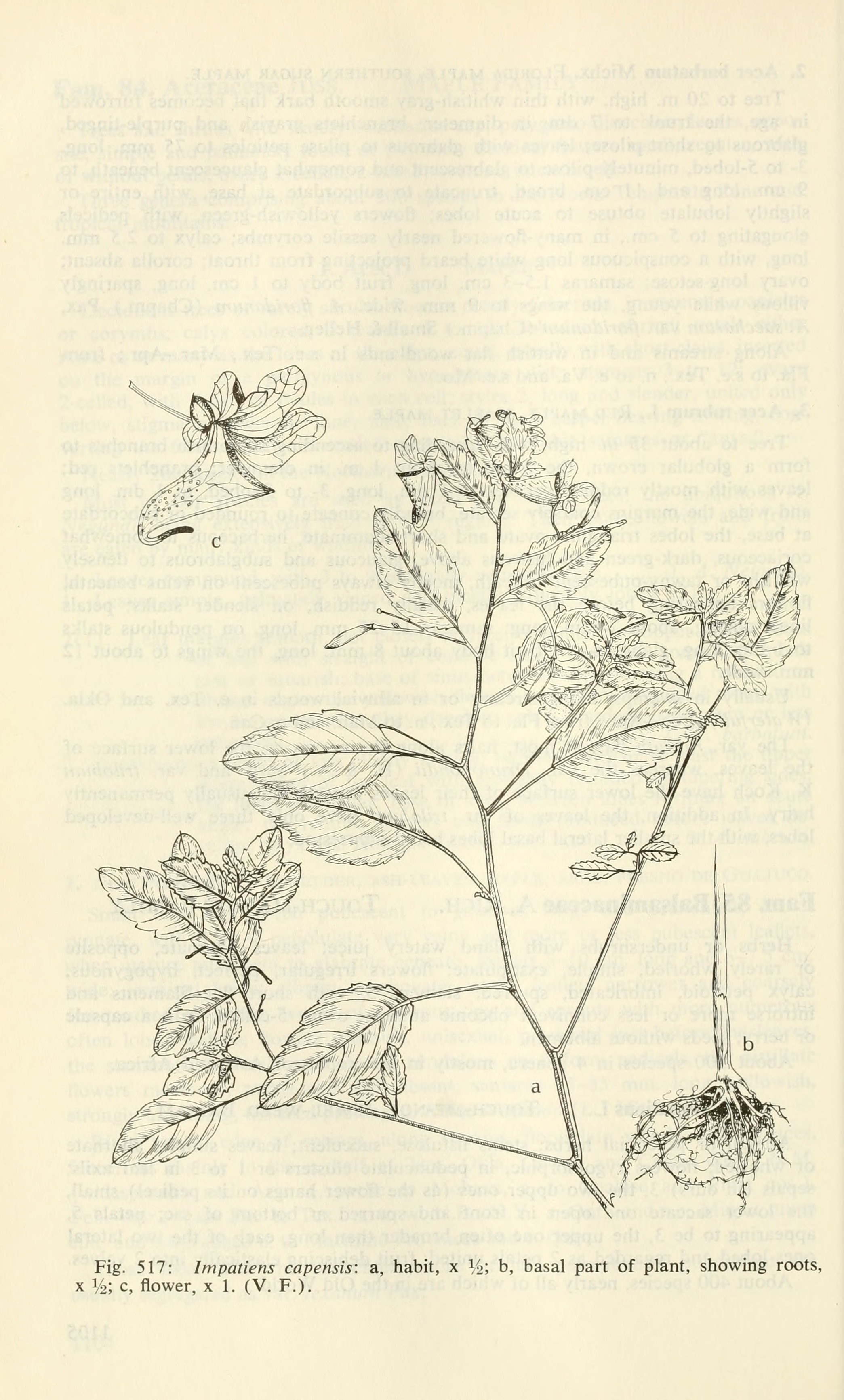 no full size  illustration available (3a)