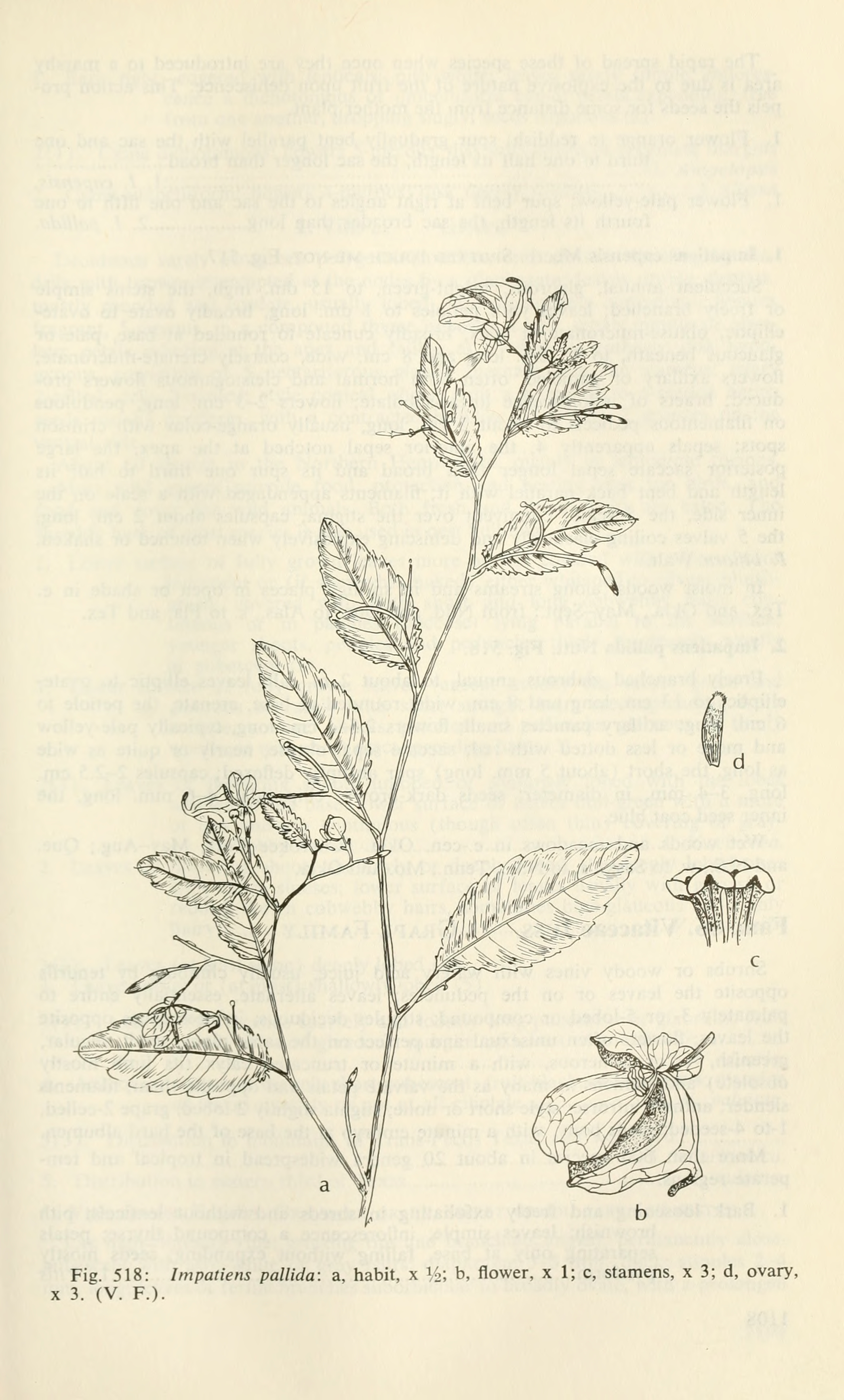 no full size  illustration available (3a)