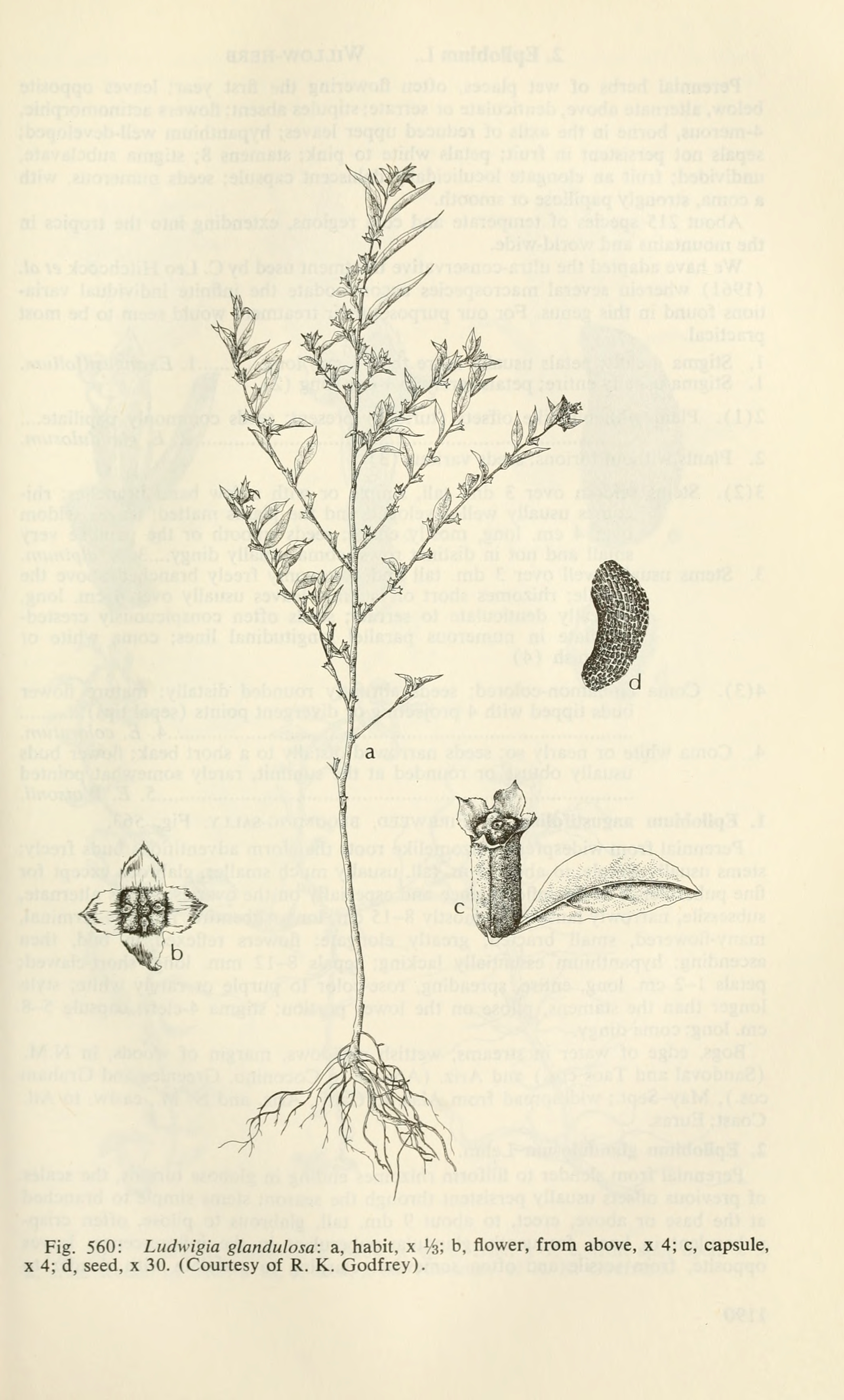 no full size  illustration available (3a)