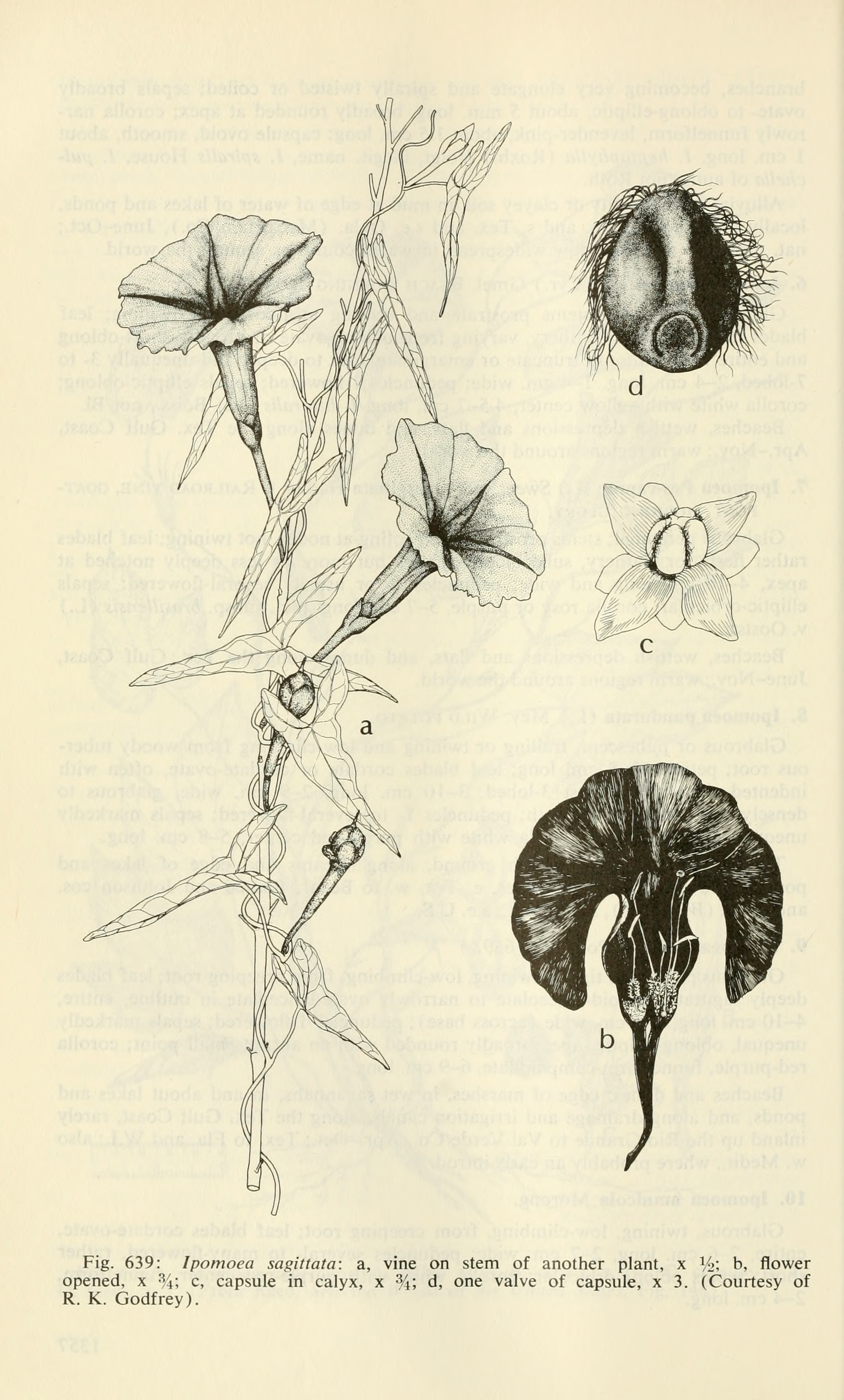 no full size  illustration available (3a)