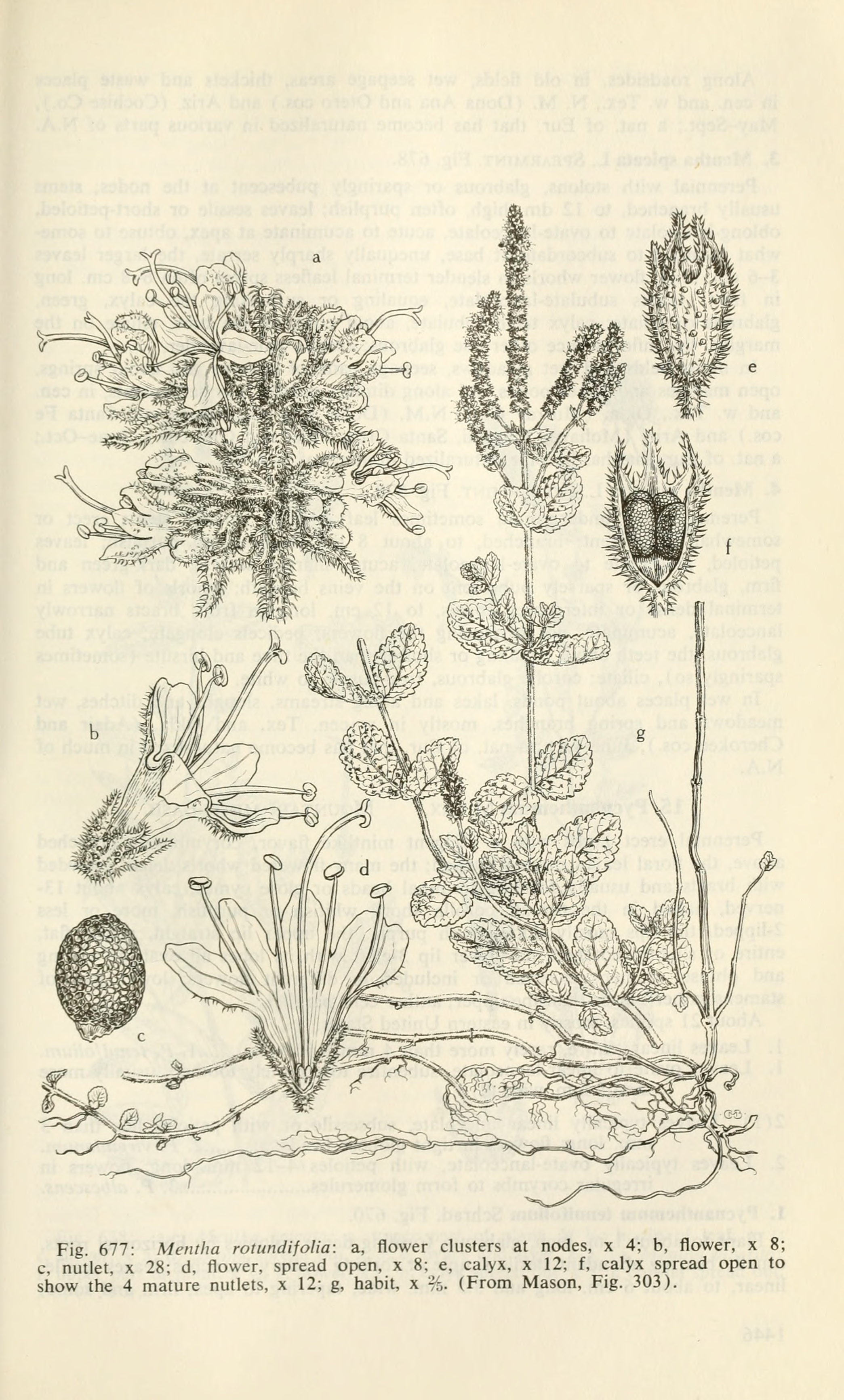 no full size  illustration available (3a)