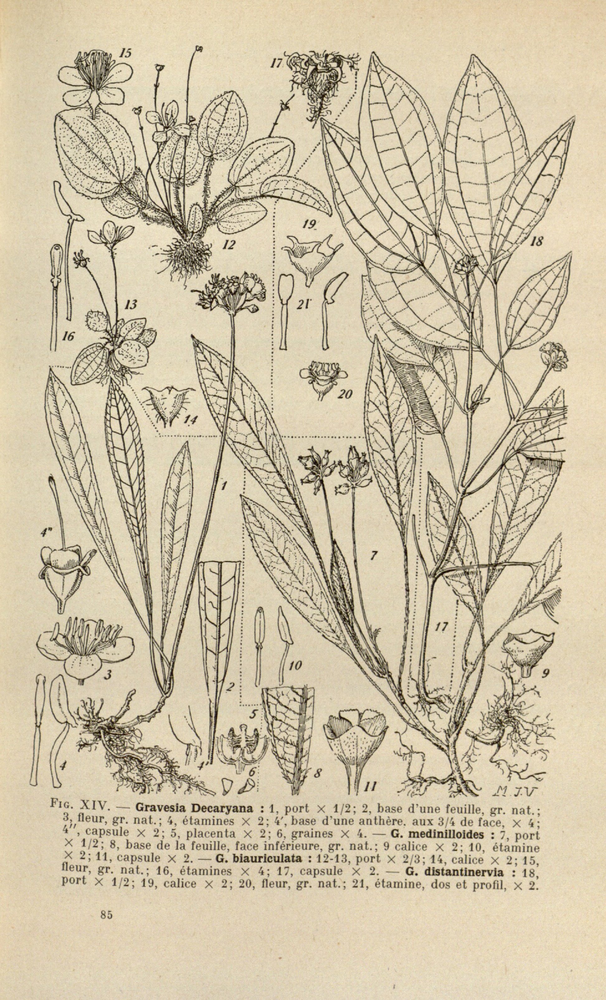 no full size  illustration available (3a)