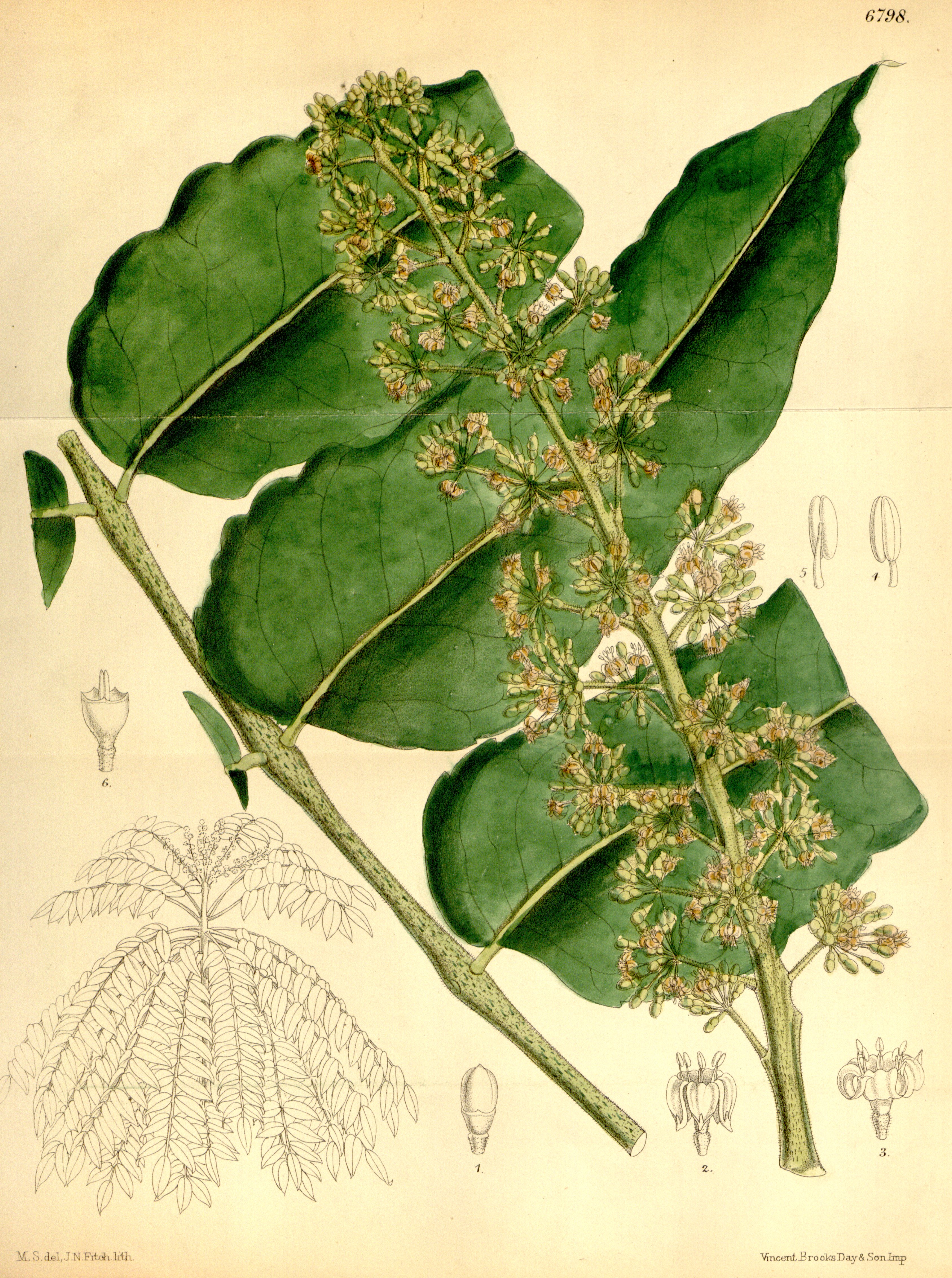 no full size  illustration available (3a)