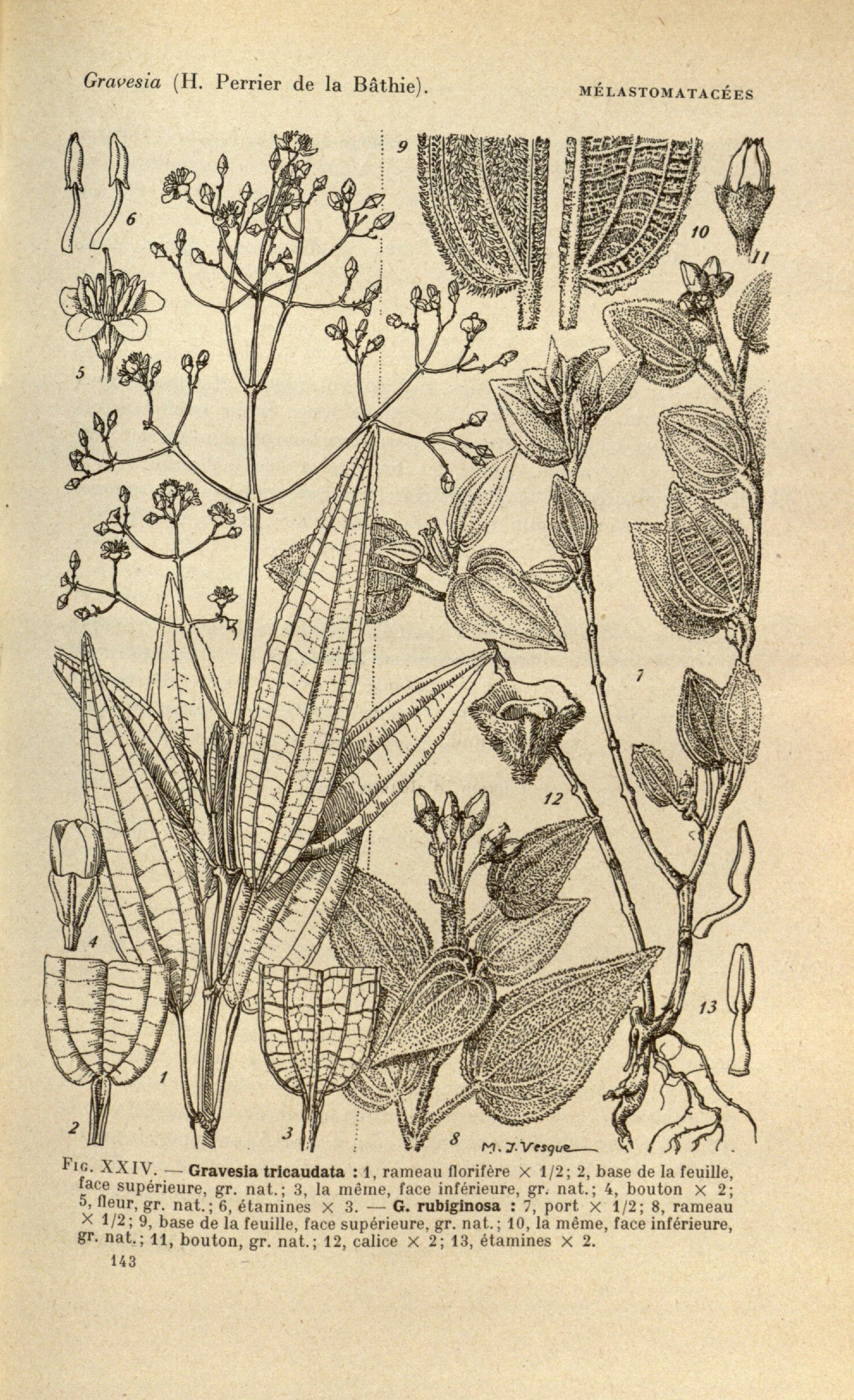 no full size  illustration available (3a)