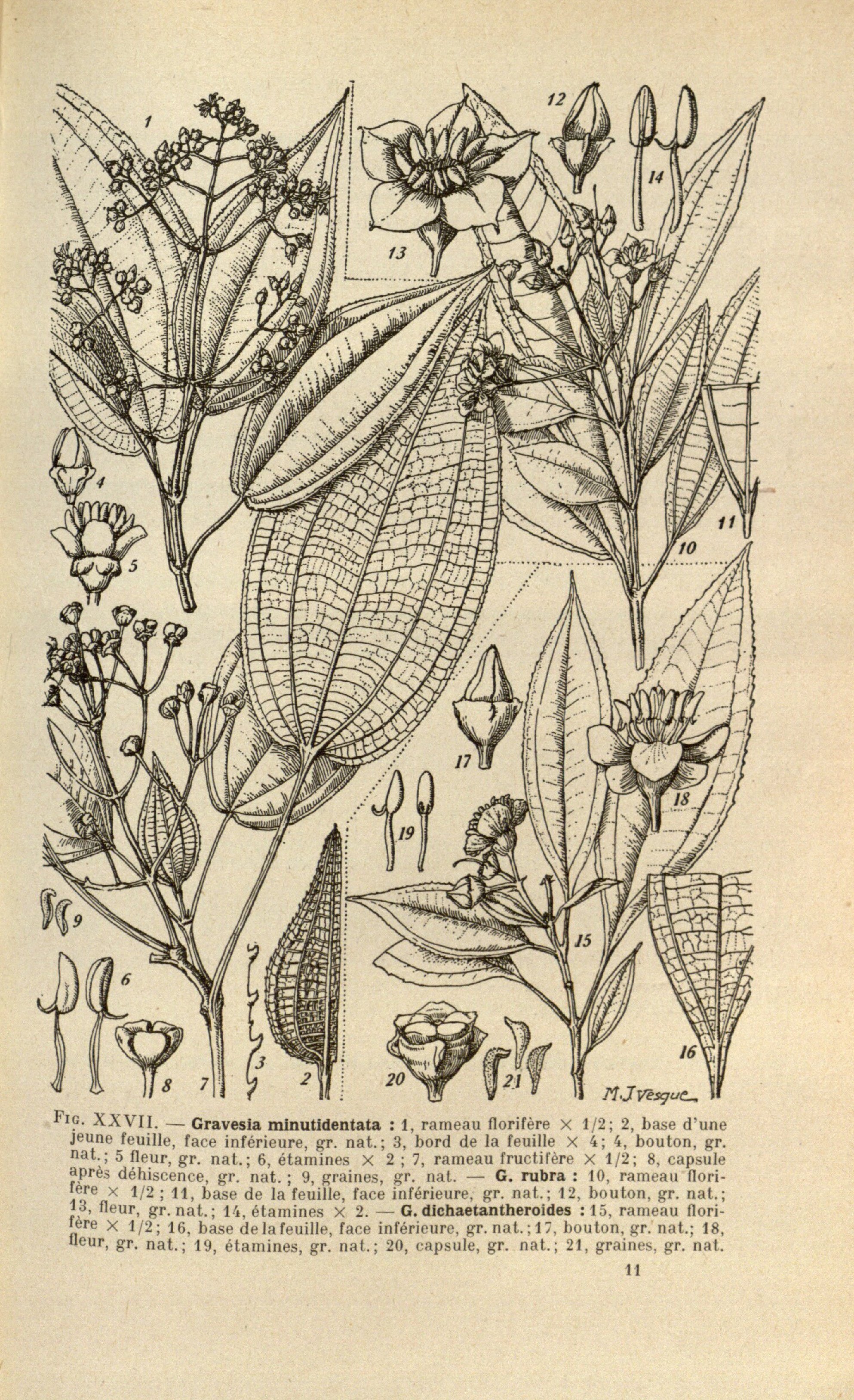 no full size  illustration available (3a)