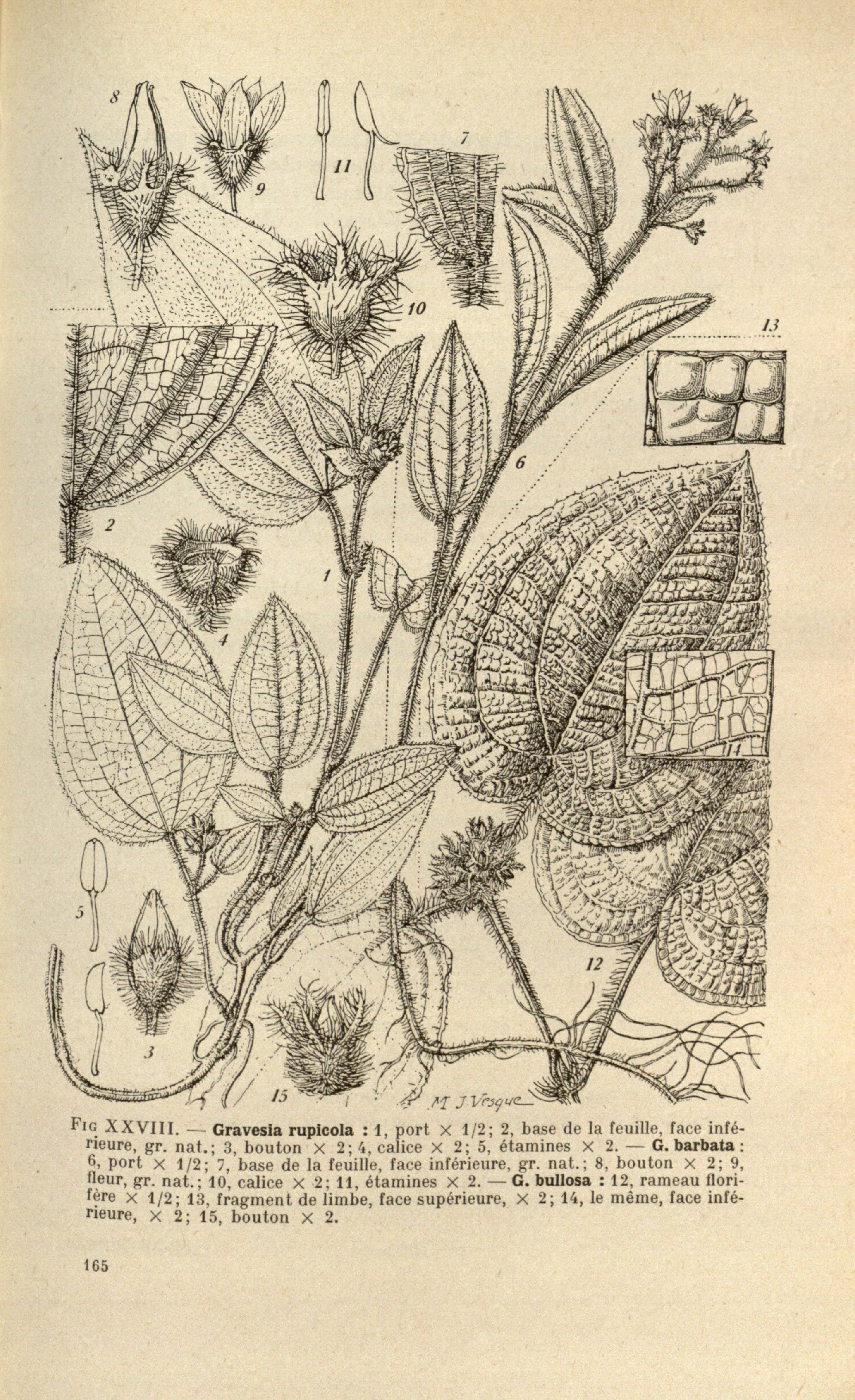 no full size  illustration available (3a)