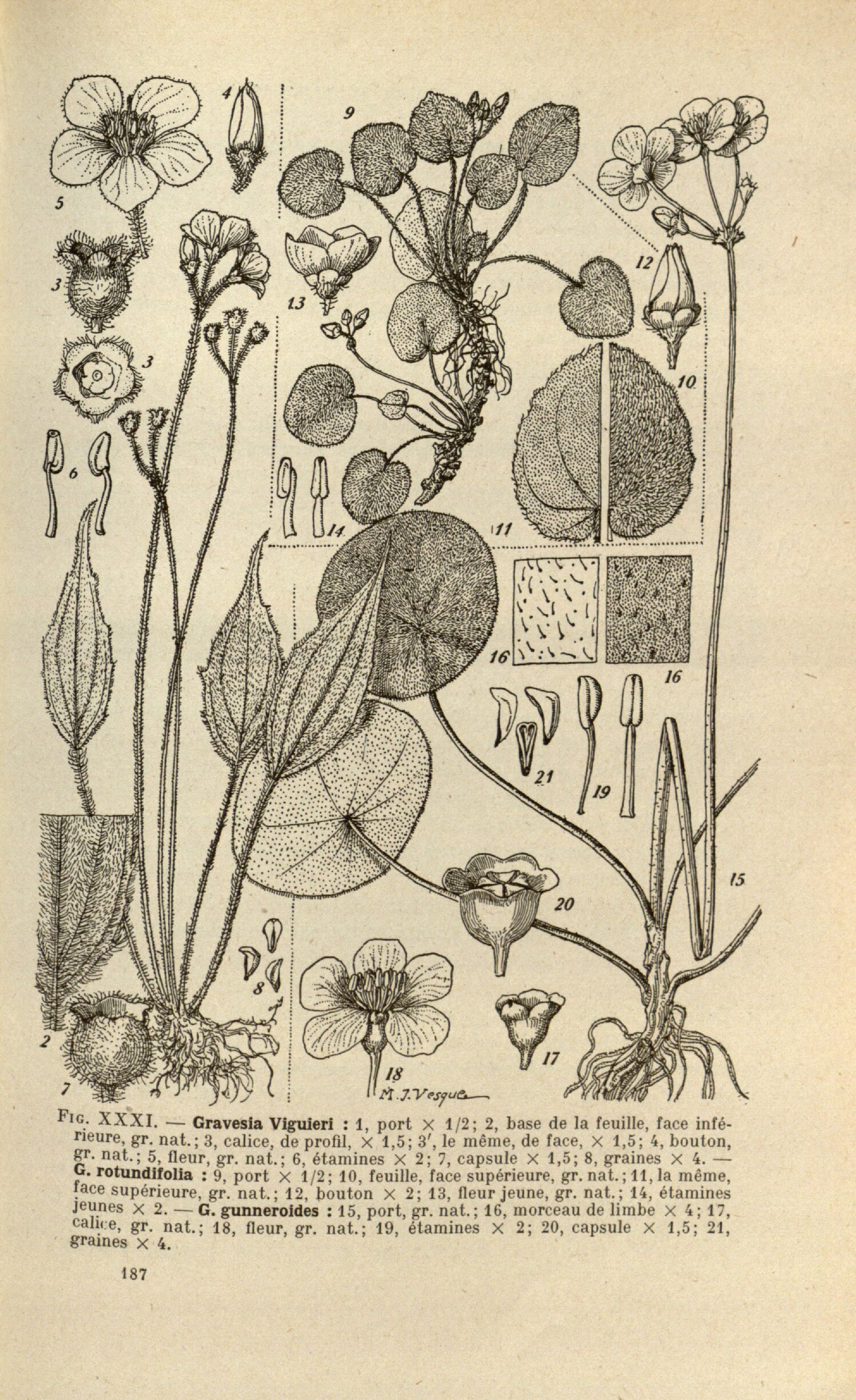 no full size  illustration available (3a)