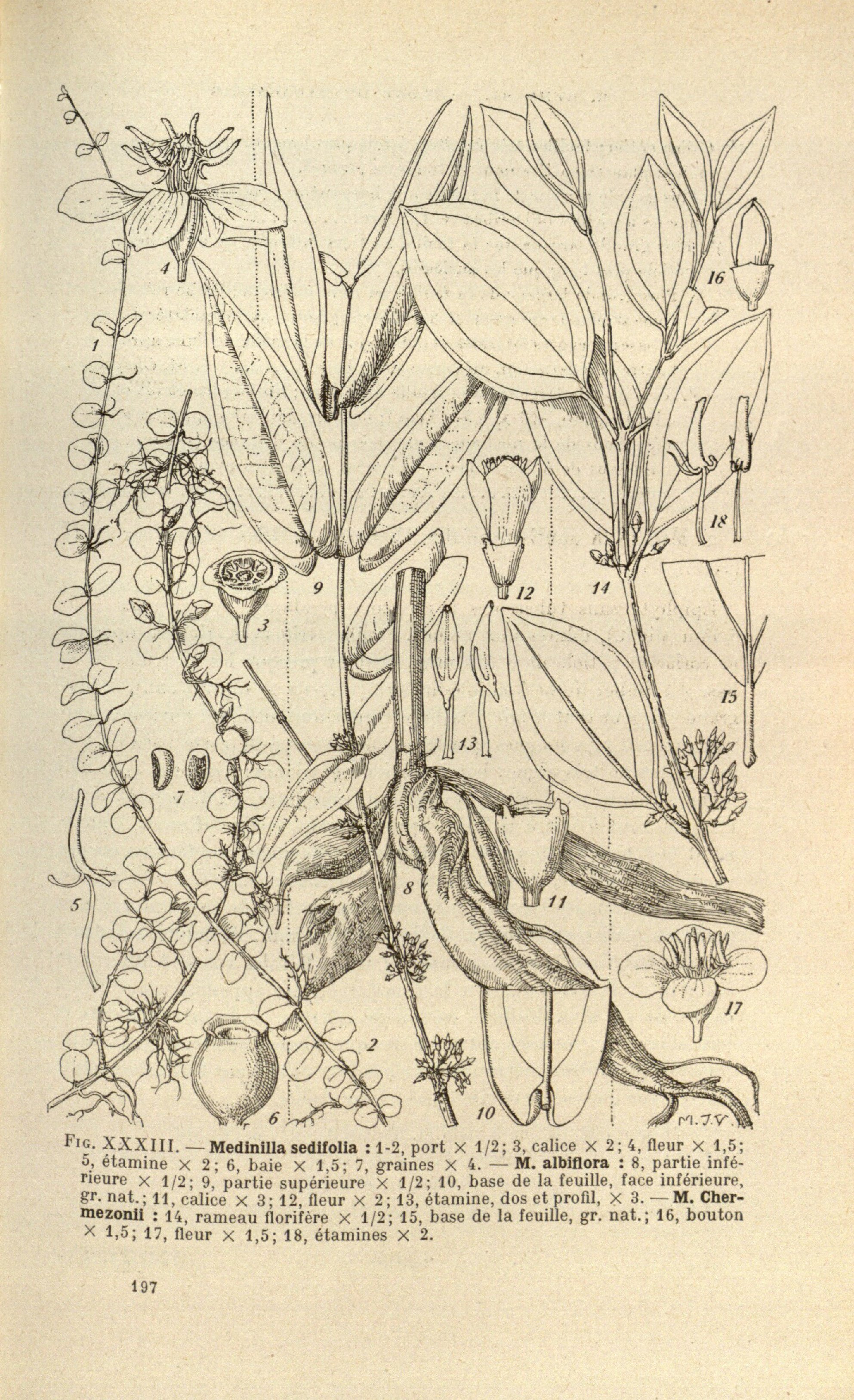 no full size  illustration available (3a)