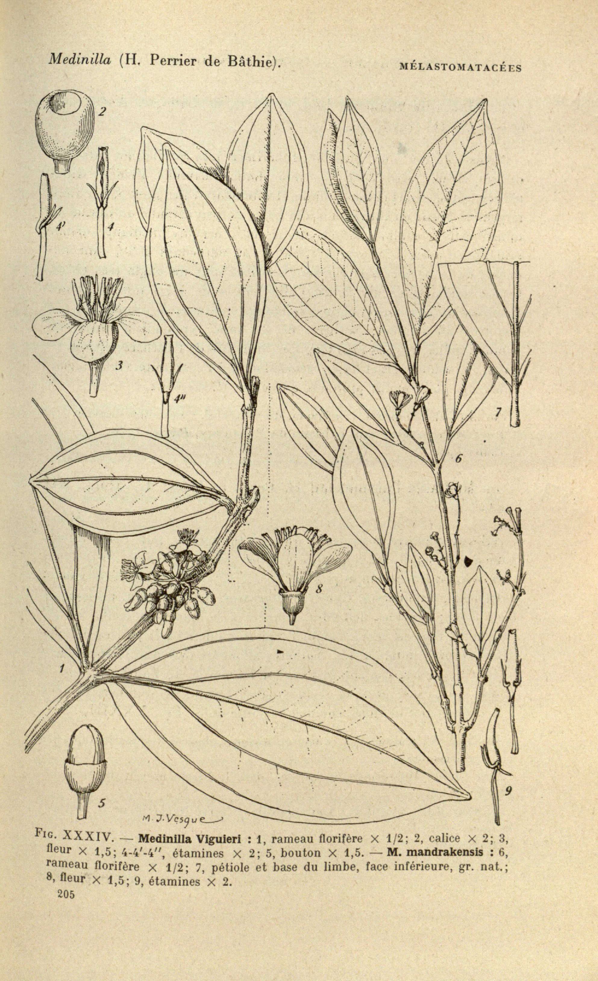 no full size  illustration available (3a)