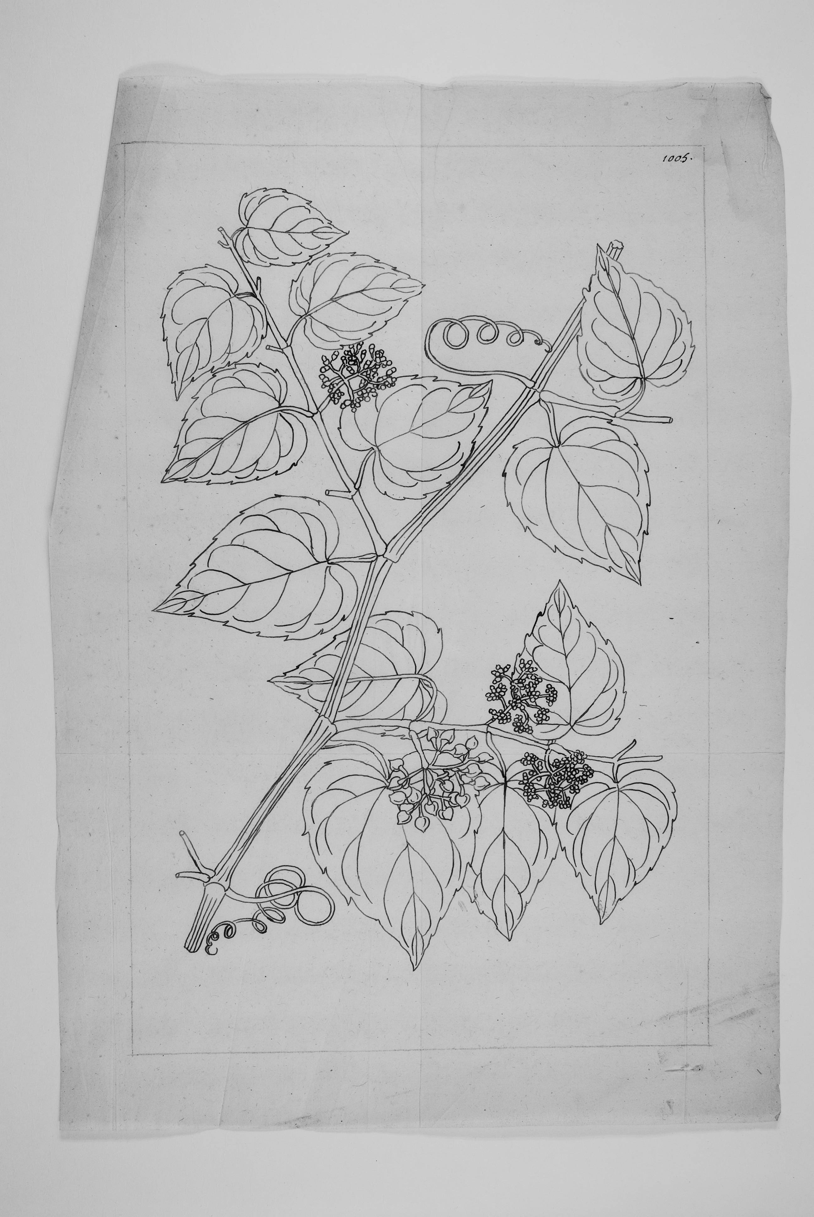 no full size  illustration available (3a)