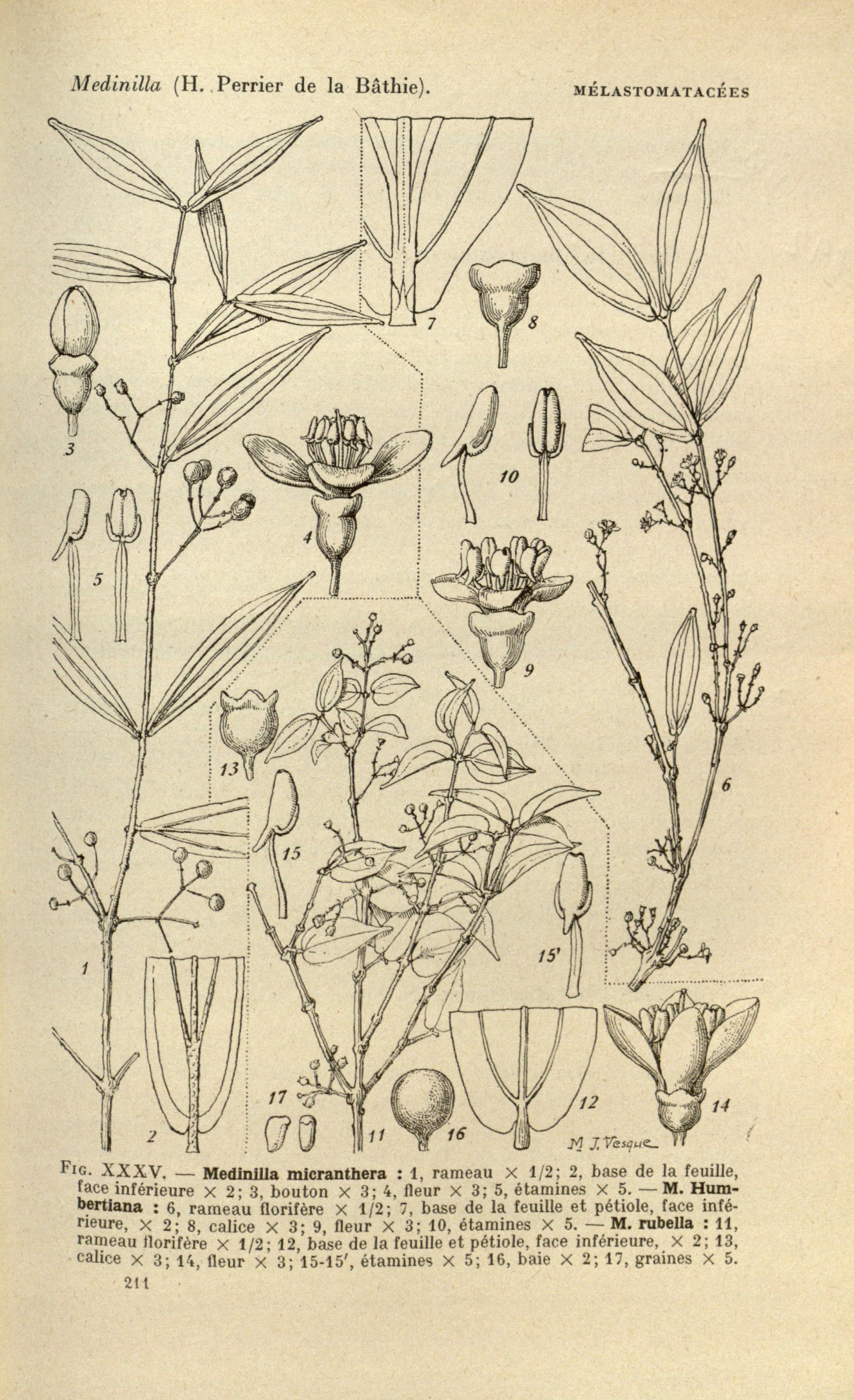 no full size  illustration available (3a)