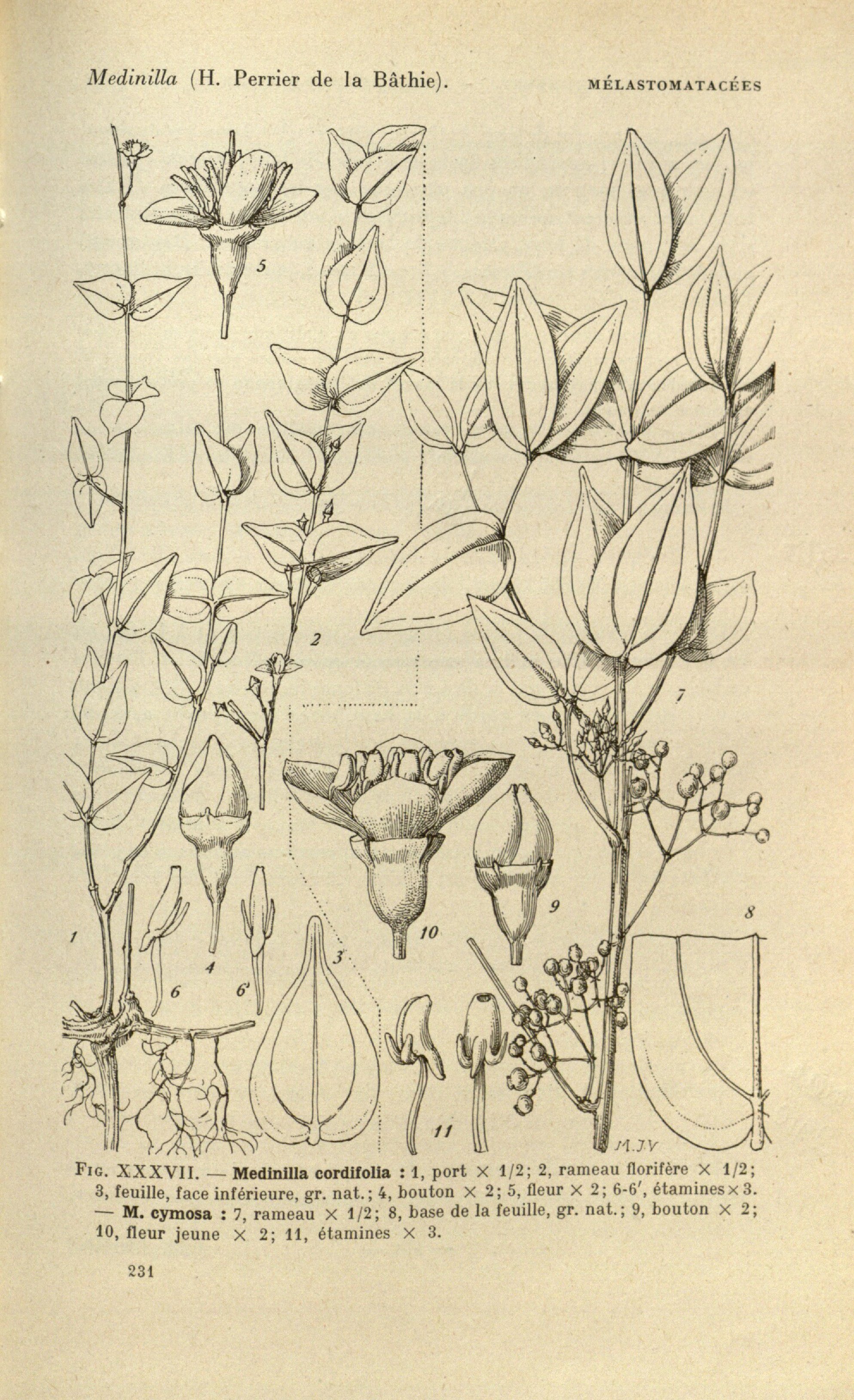 no full size  illustration available (3a)