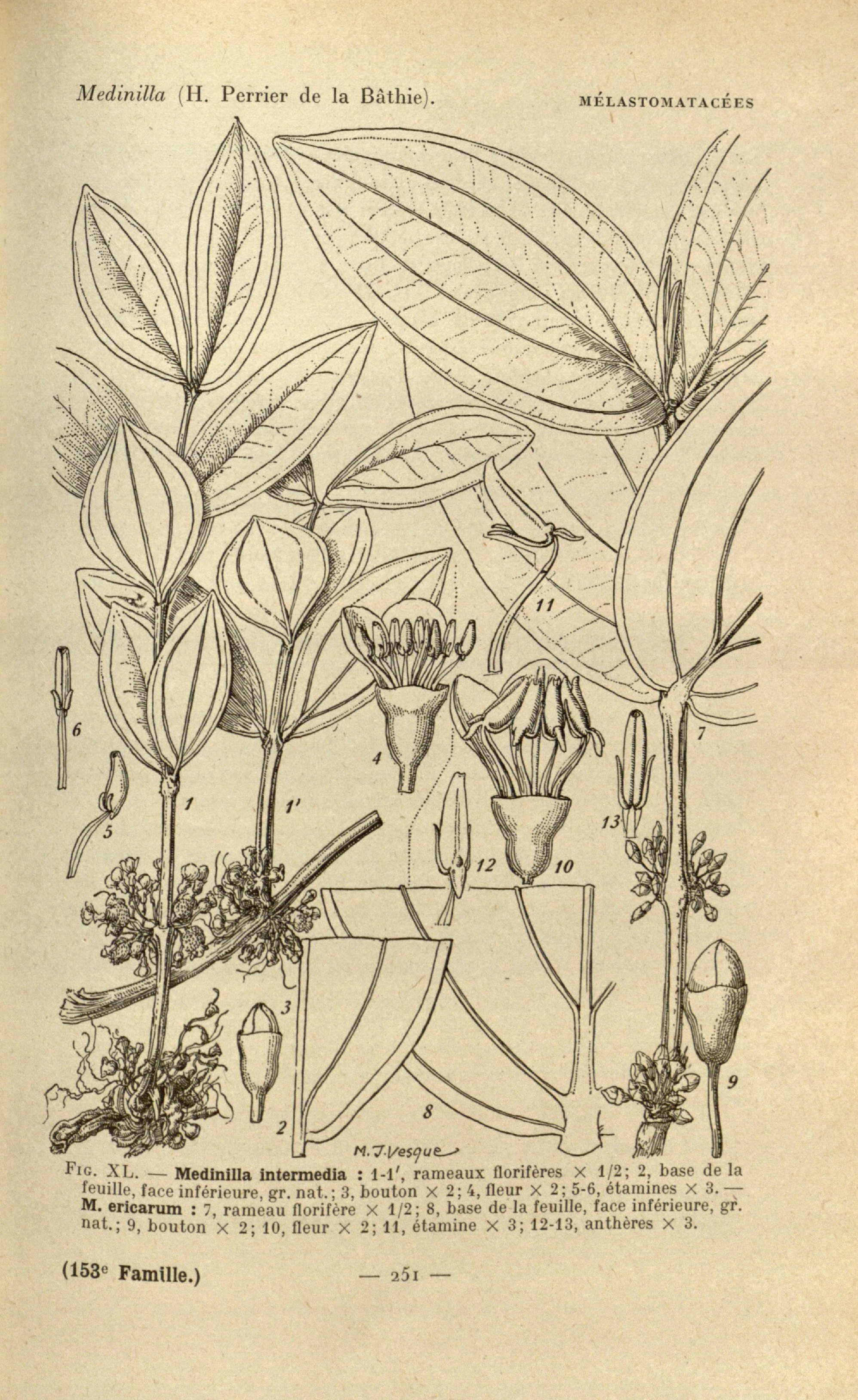 no full size  illustration available (3a)